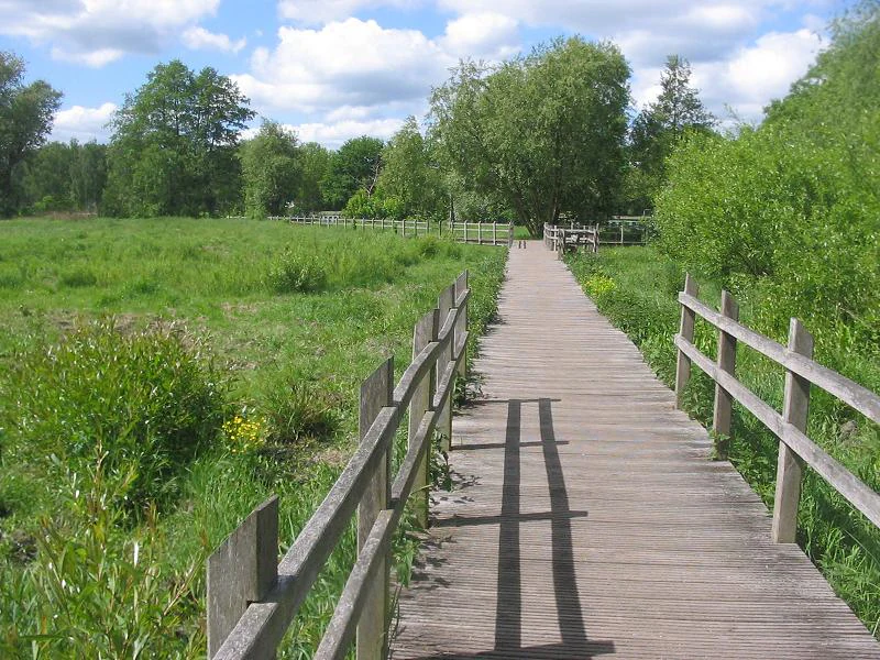 Tiefwerder Wiesen boardwalk