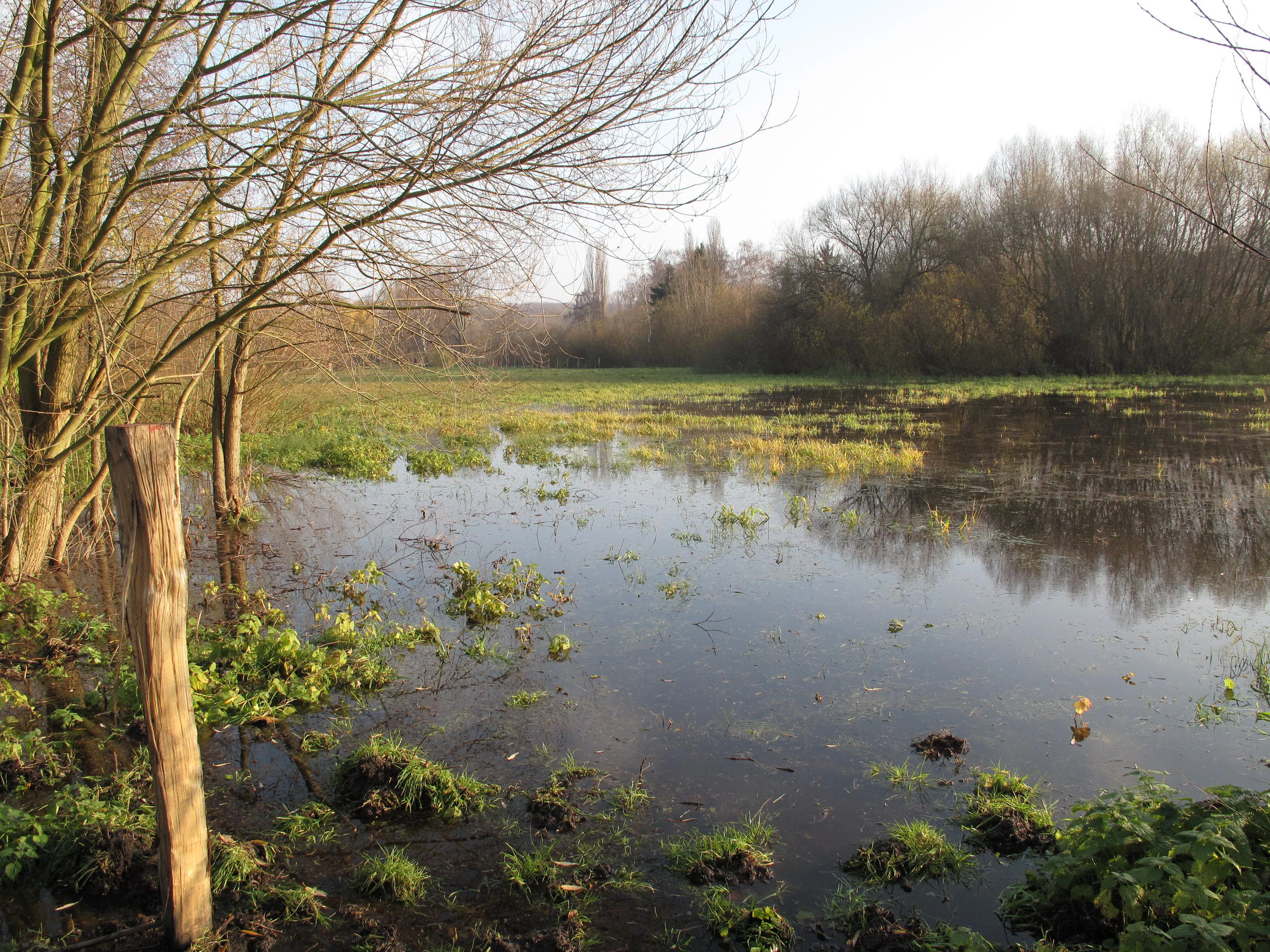 Tiefwerder Wiesen flooding