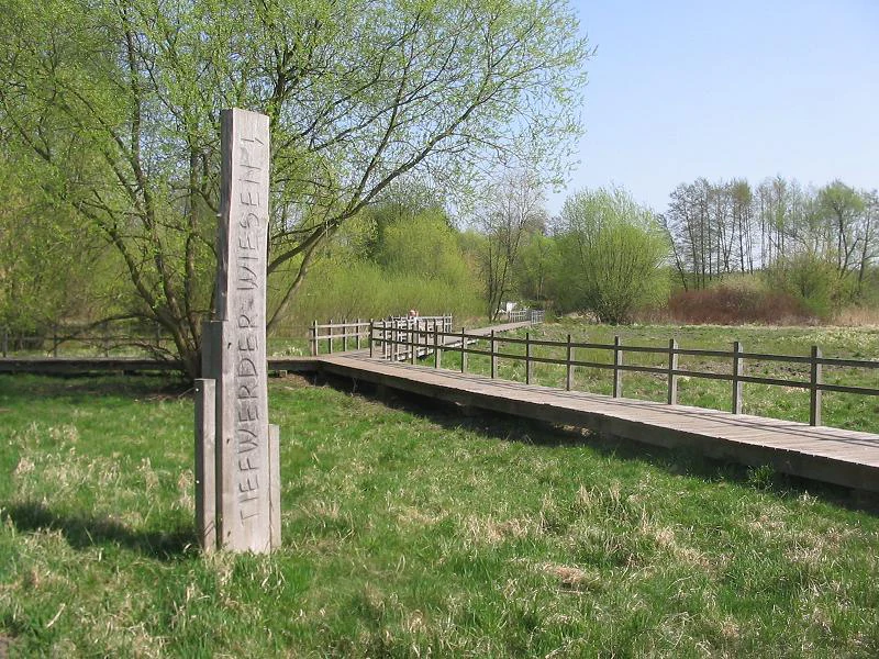 Boardwalk in Tiefwerder Wiesen