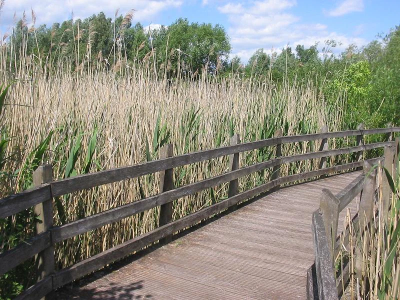 Boardwalk in Tiefwerder Wiesen