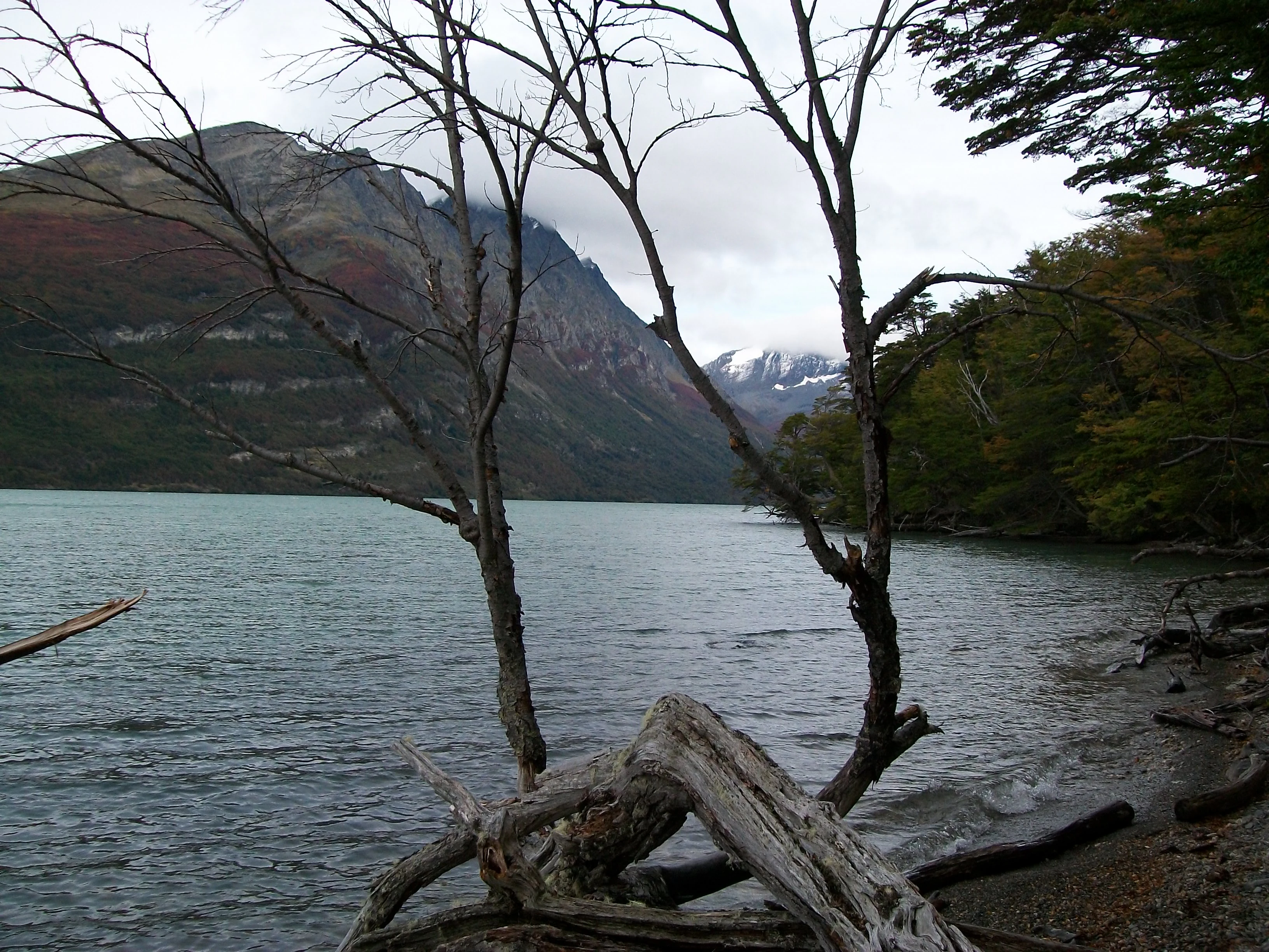 Calm lake surrounded by trees and mountains under an overcast sky