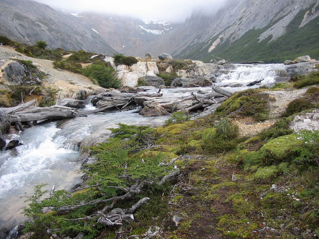 A river flowing through rocky terrain with moss-covered ground, scattered trees, and mountain peaks in the background under an overcast sky