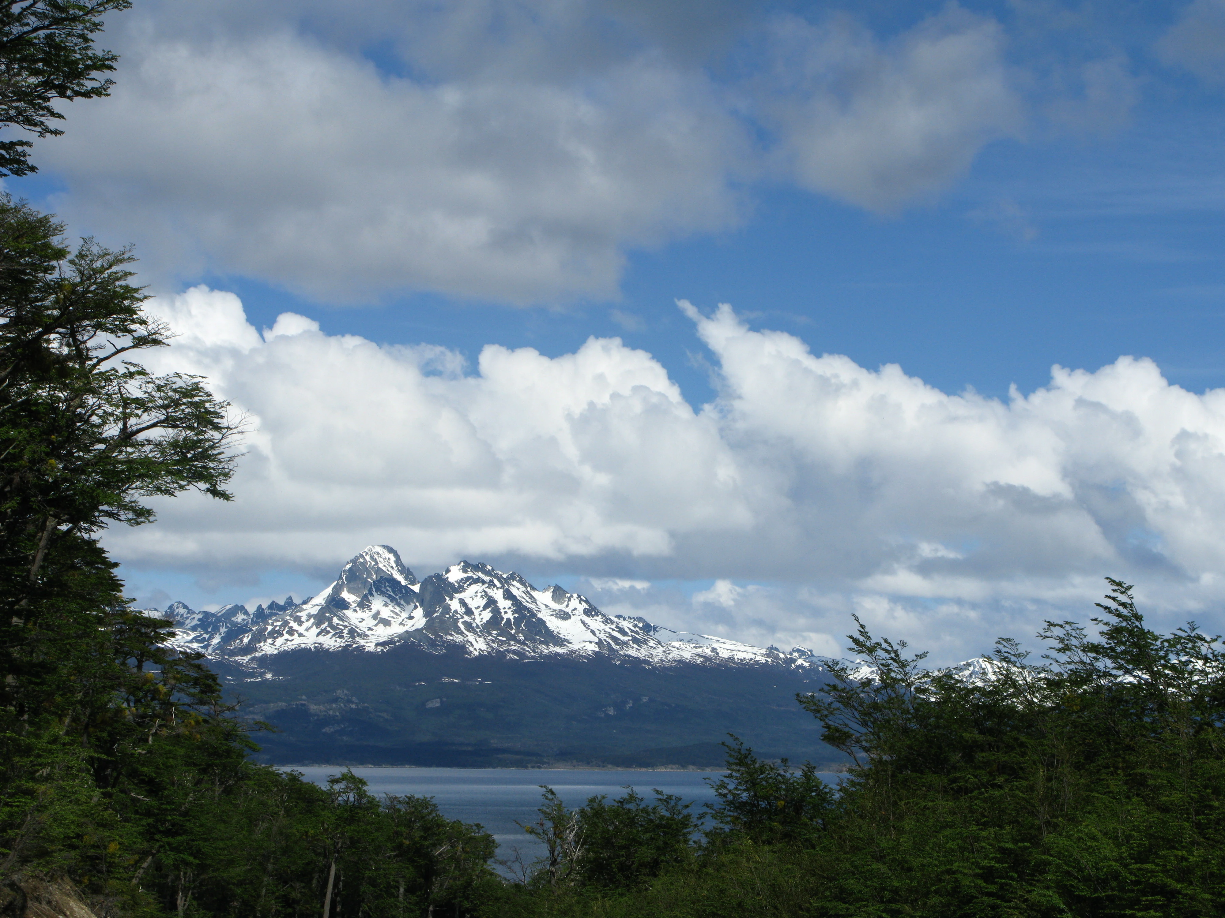 Snow-capped mountain peaks, dense forest in the foreground, and a body of water under a partly cloudy sky