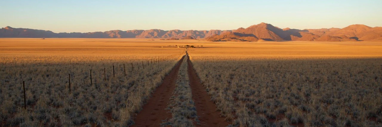 A long dirt road cuts through a vast, dry, golden-grass plain towards a range of mountains under a clear sky in Namibia.