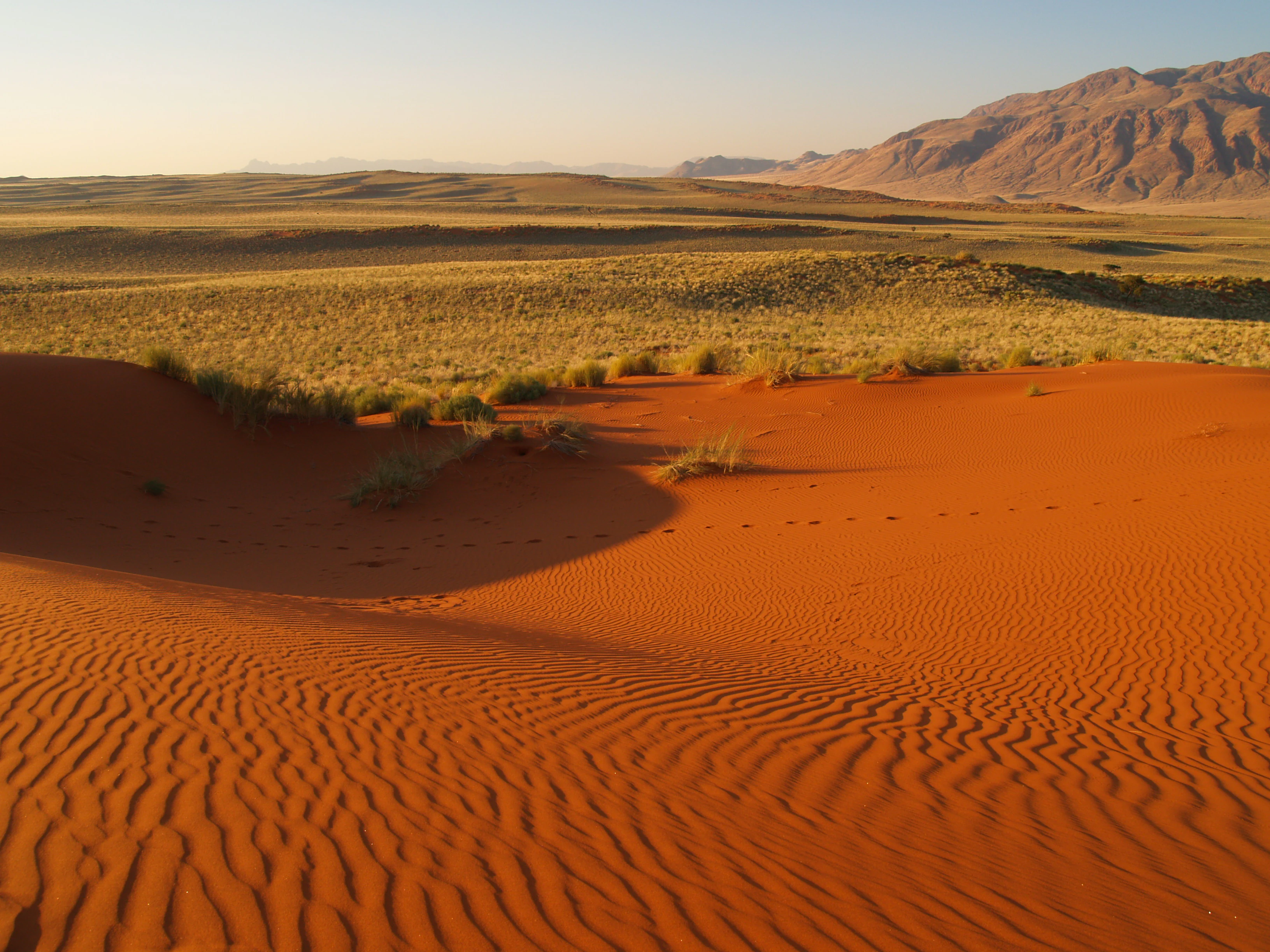 A wide view of a red sand dune in the foreground, leading to a vast, semi-arid desert plain with low yellow grasses and rugged mountains in the distance under a clear sky.
