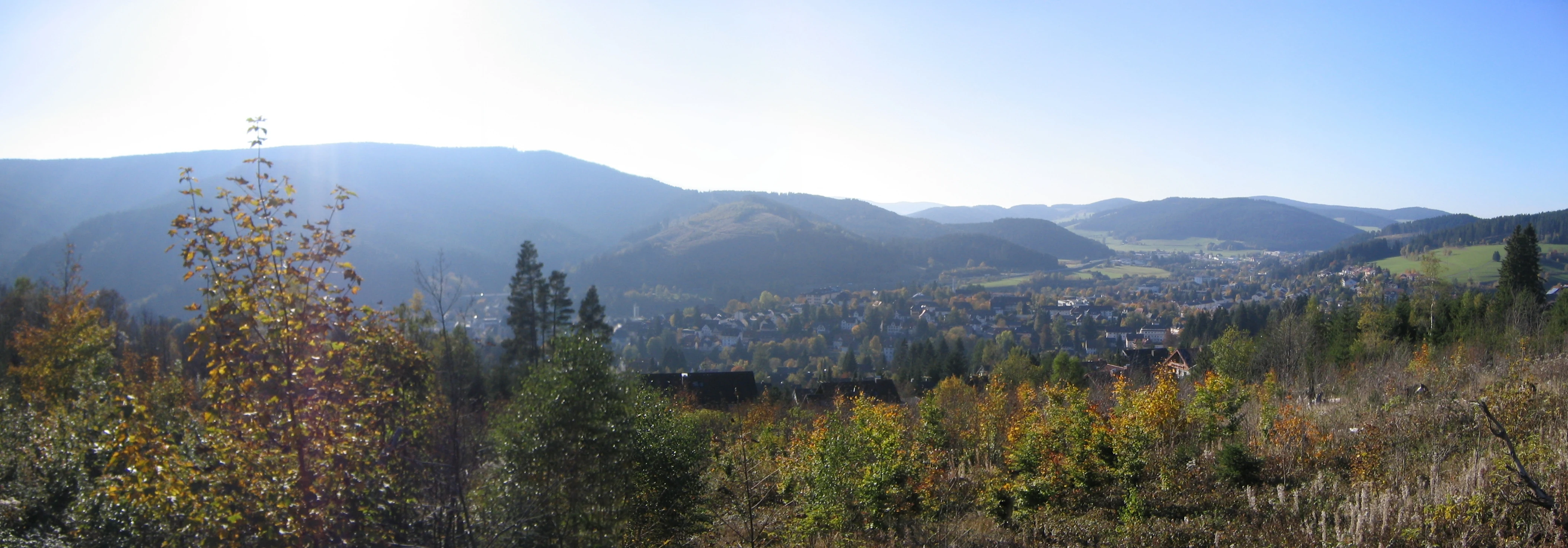 Panoramic landscape view of the town of Neustadt situated in a valley surrounded by forested hills under a clear sky.