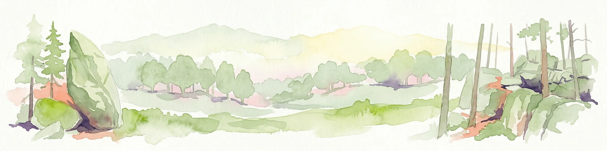 Ilustración en acuarela de un paisaje forestal con rocas, árboles y colinas distantes