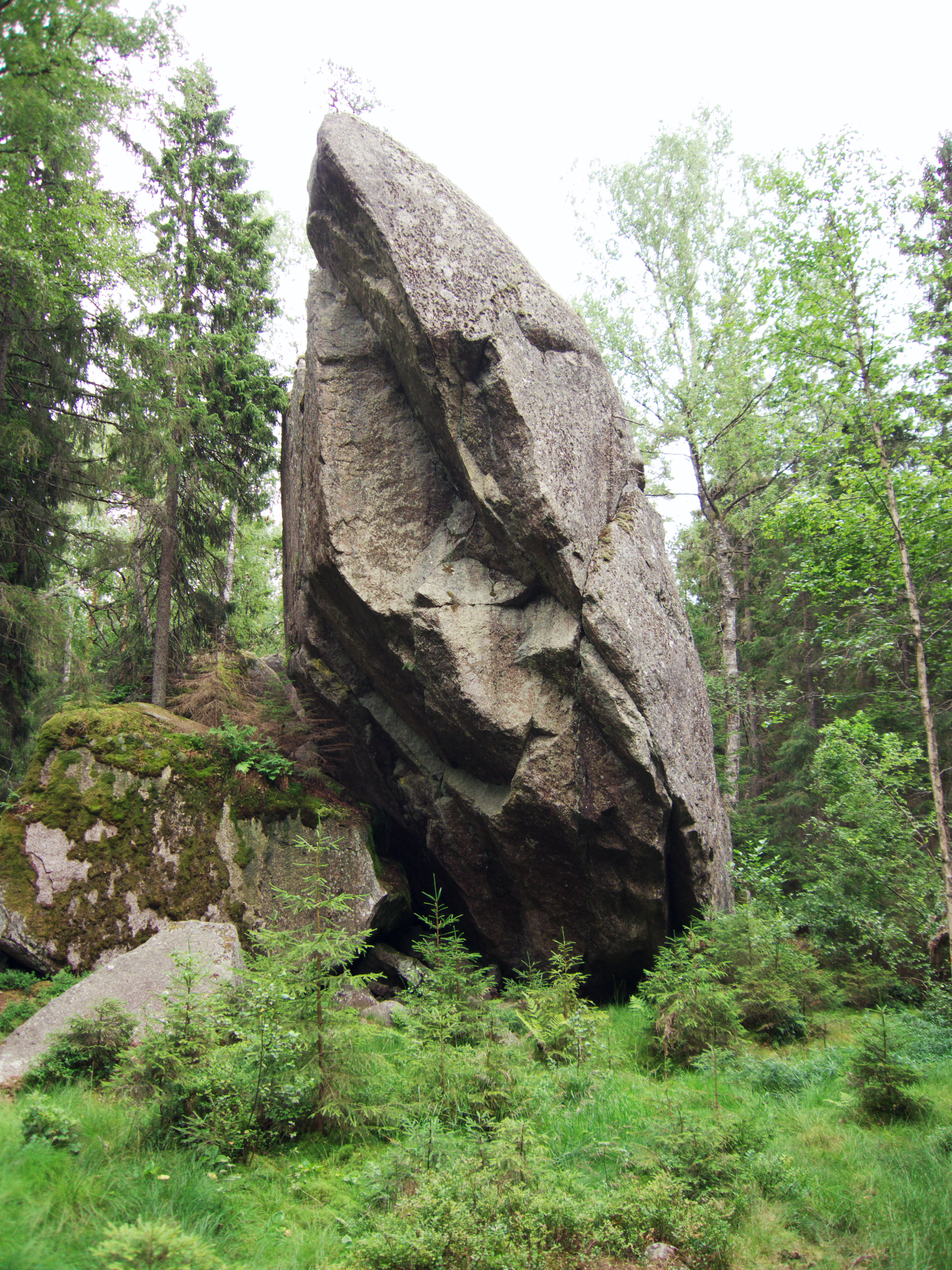 Large gray rock formation standing upright in a lush green forest surrounded by trees and undergrowth