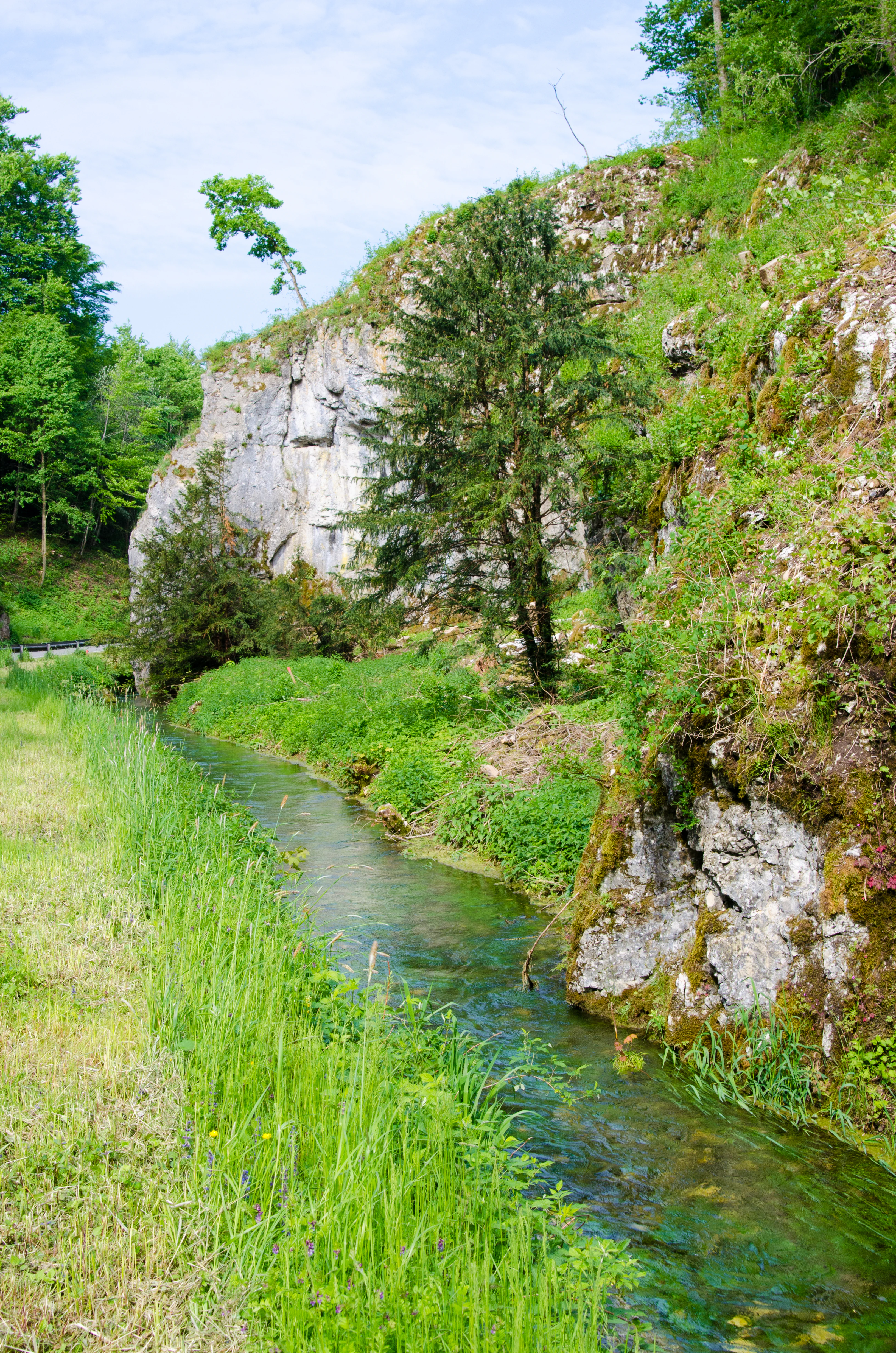 A small, clear stream flows alongside a steep, mossy rock face covered in grass and scattered trees, with a green meadow on the left.