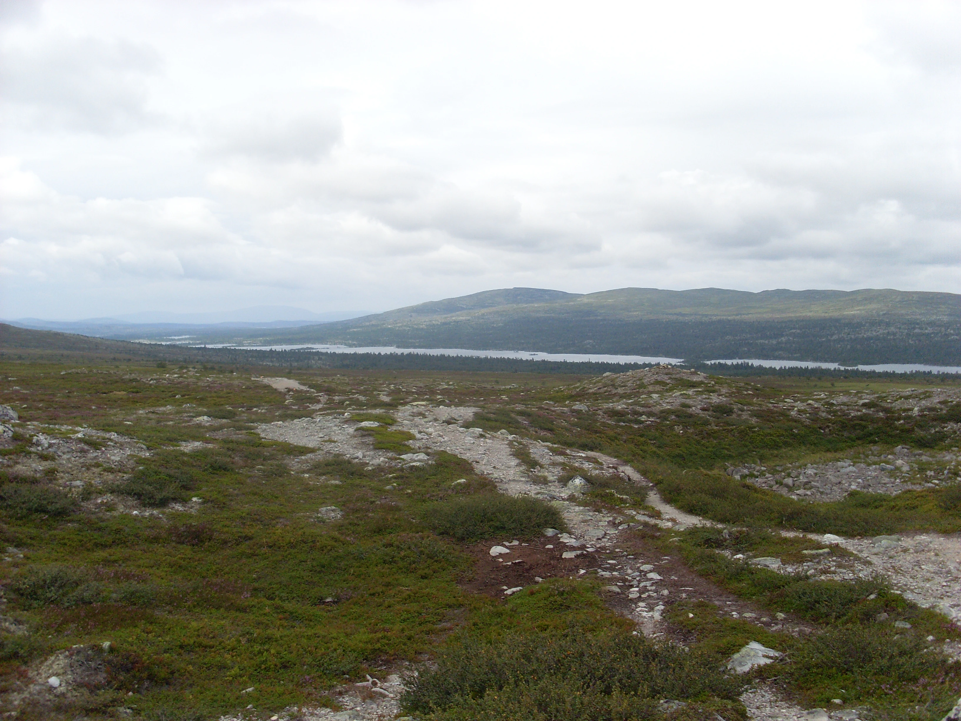 Wide landscape view of a lake with mountainous terrain in the background, grassy and rocky foreground, and overcast sky