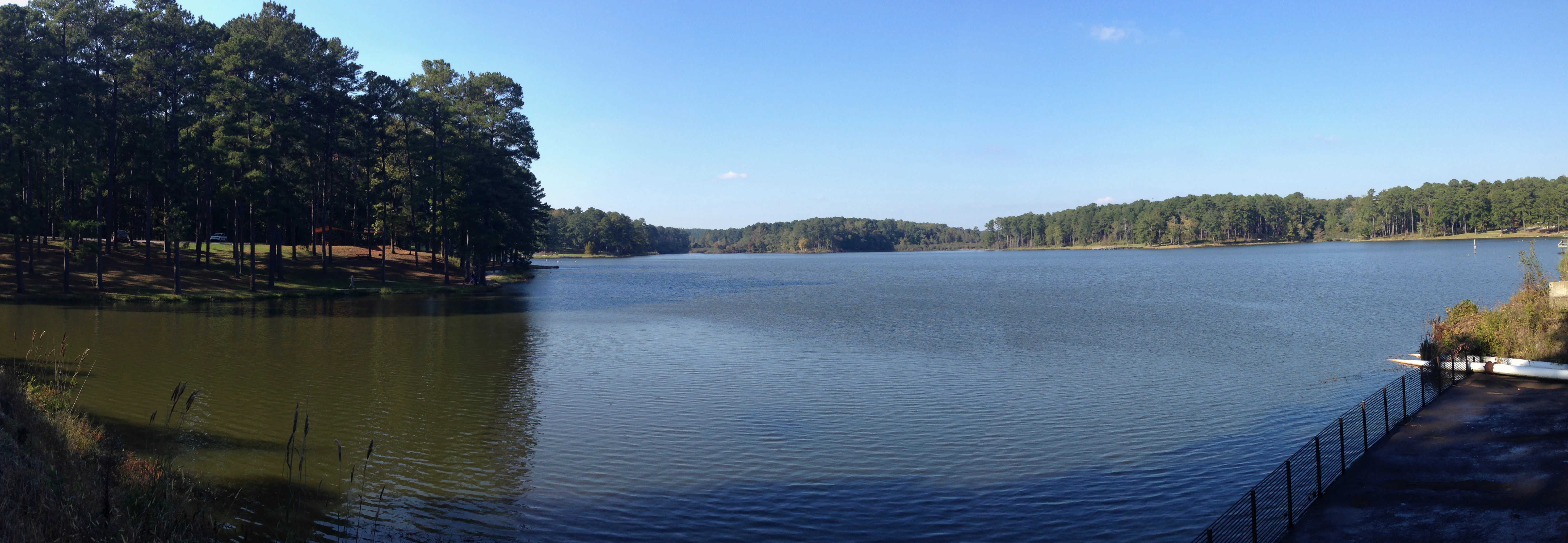 A wide view of a calm lake surrounded by dense pine forest under a clear blue sky.