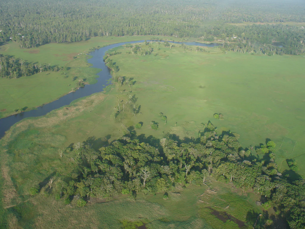 An aerial shot looking down over a winding river carving through vast, flat green savanna plains and clusters of dense forest.