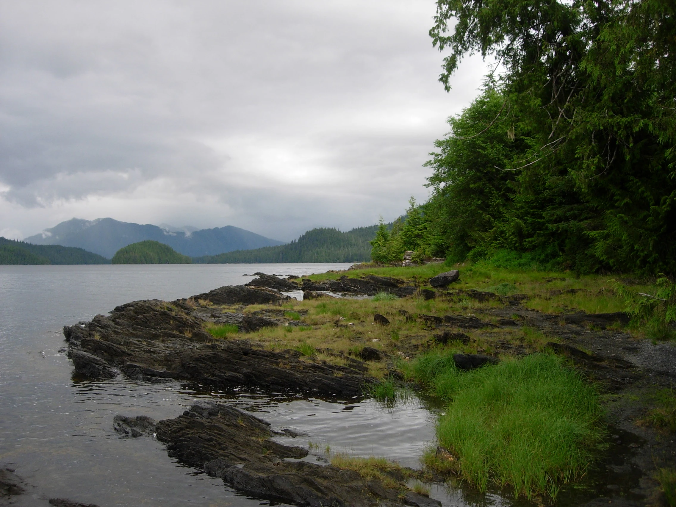 A wide landscape view of a rocky, grass-covered shoreline bordering a calm lake, with dense coniferous forest on the right and distant mountains under a cloudy sky.