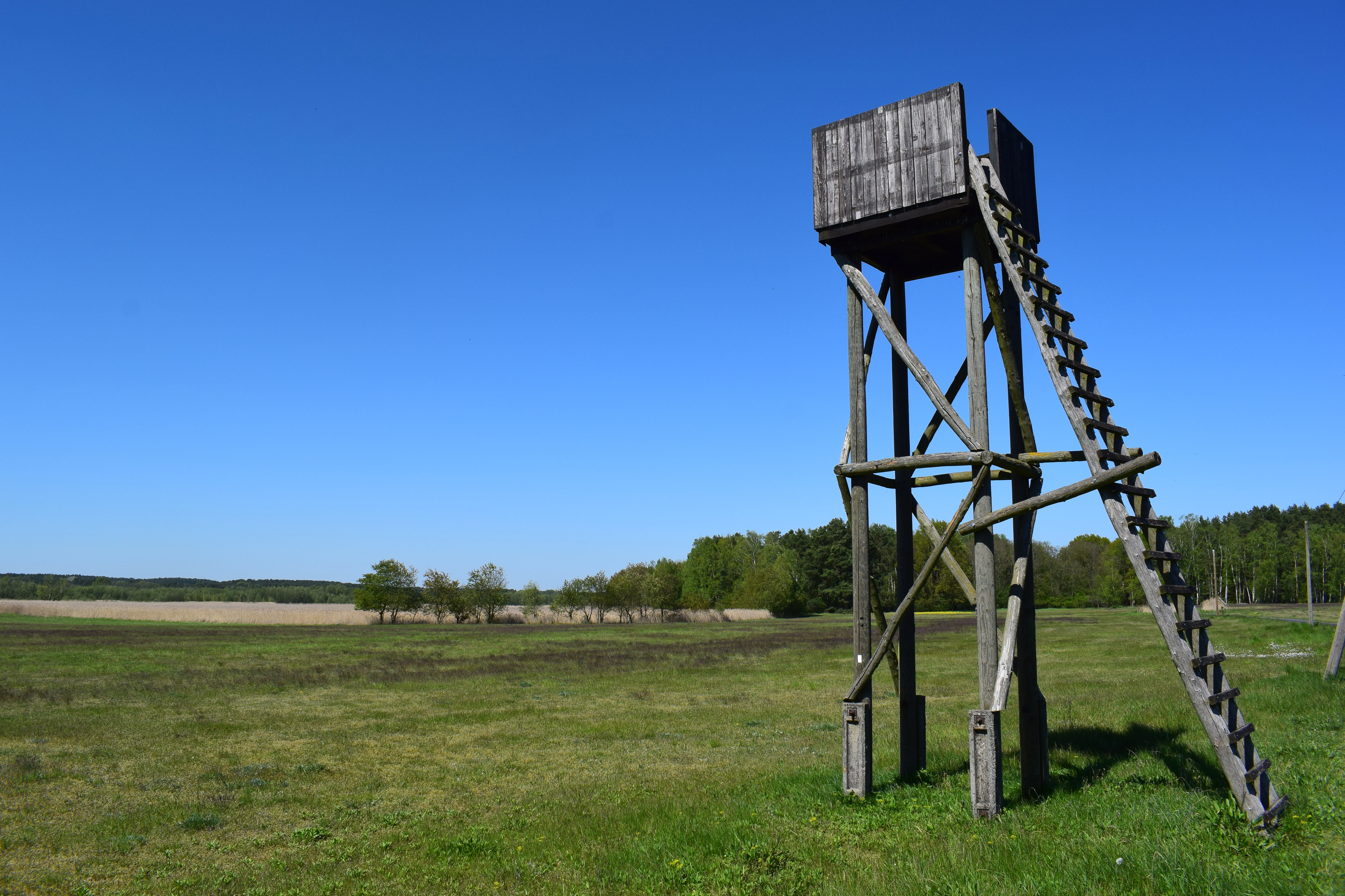 A weathered wooden observation tower stands in a grassy field under a clear blue sky, with a treeline visible in the distance.