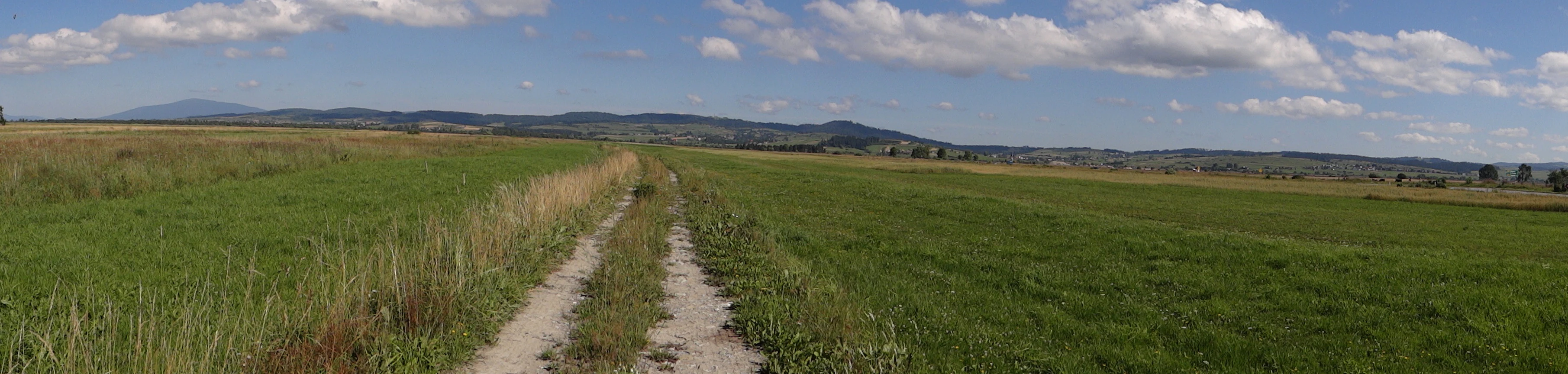 A wide panoramic view of a flat, grassy landscape with a dirt road stretching into the distance towards rolling hills and mountains under a partly cloudy blue sky.