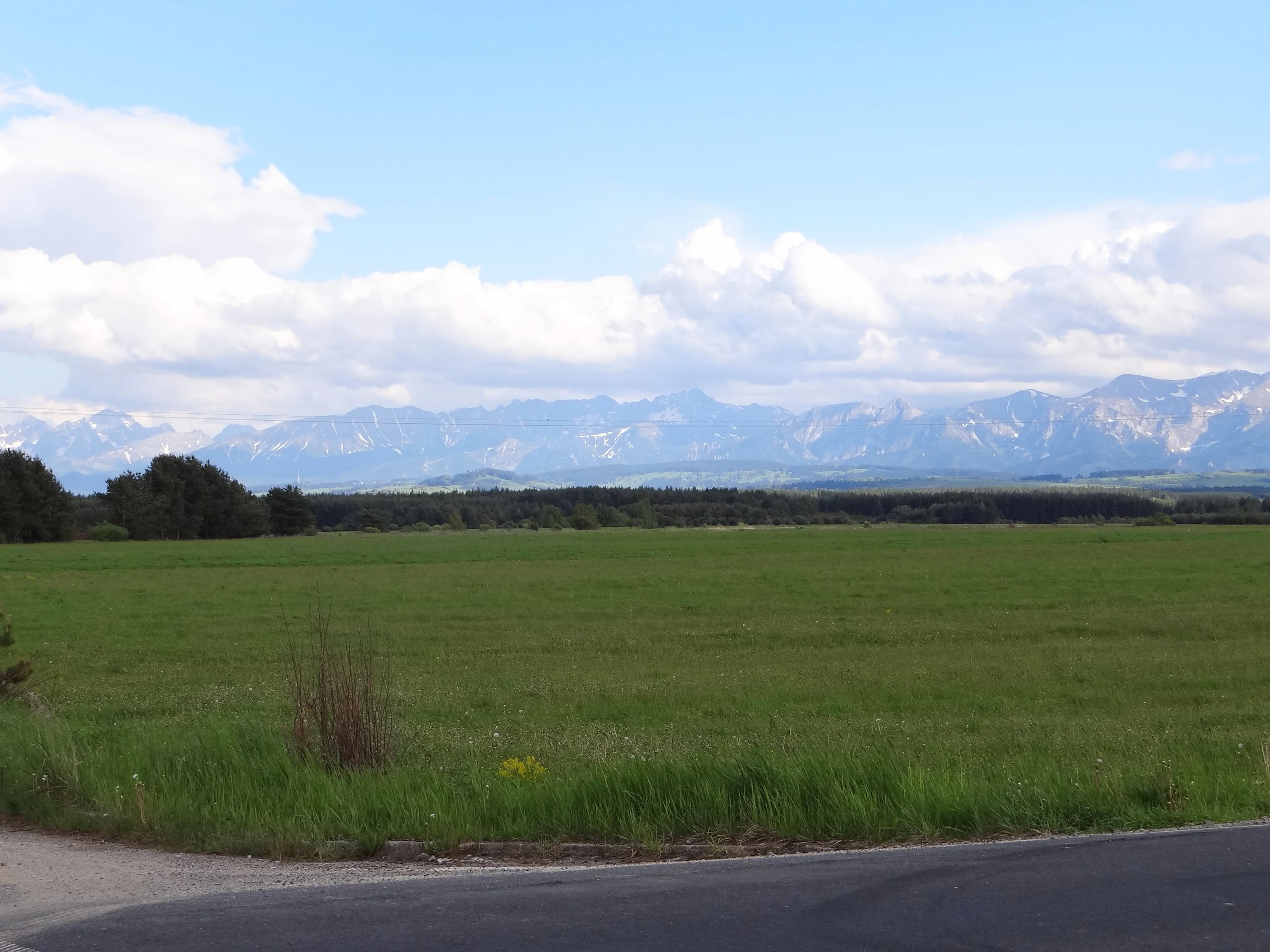 A wide, flat green field stretches toward a forested horizon, with a range of snow-capped mountains visible in the background under a cloudy sky.