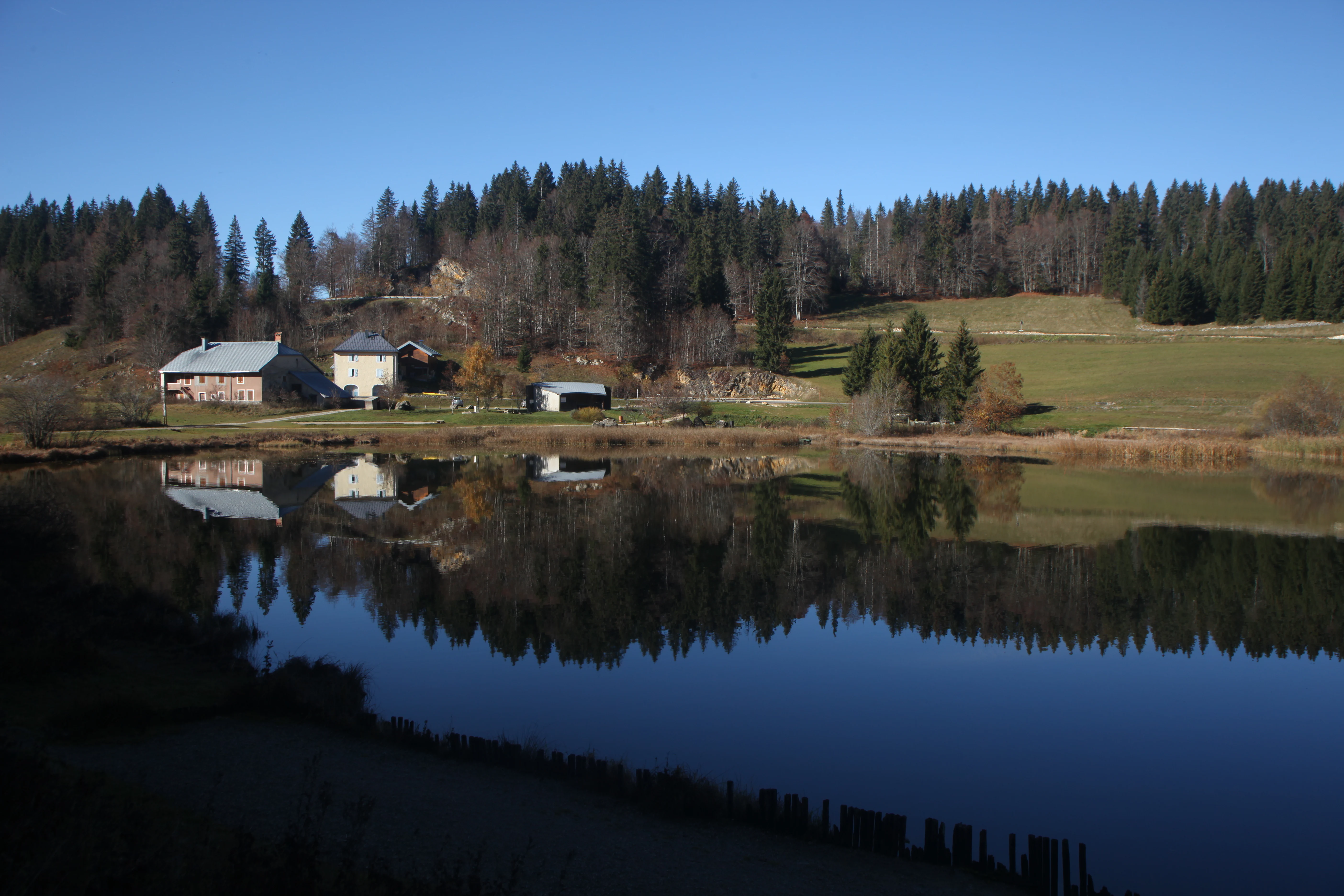 Un lago tranquilo refleja un cielo azul despejado, un denso bosque de coníferas y pequeñas construcciones agrícolas en la orilla.
