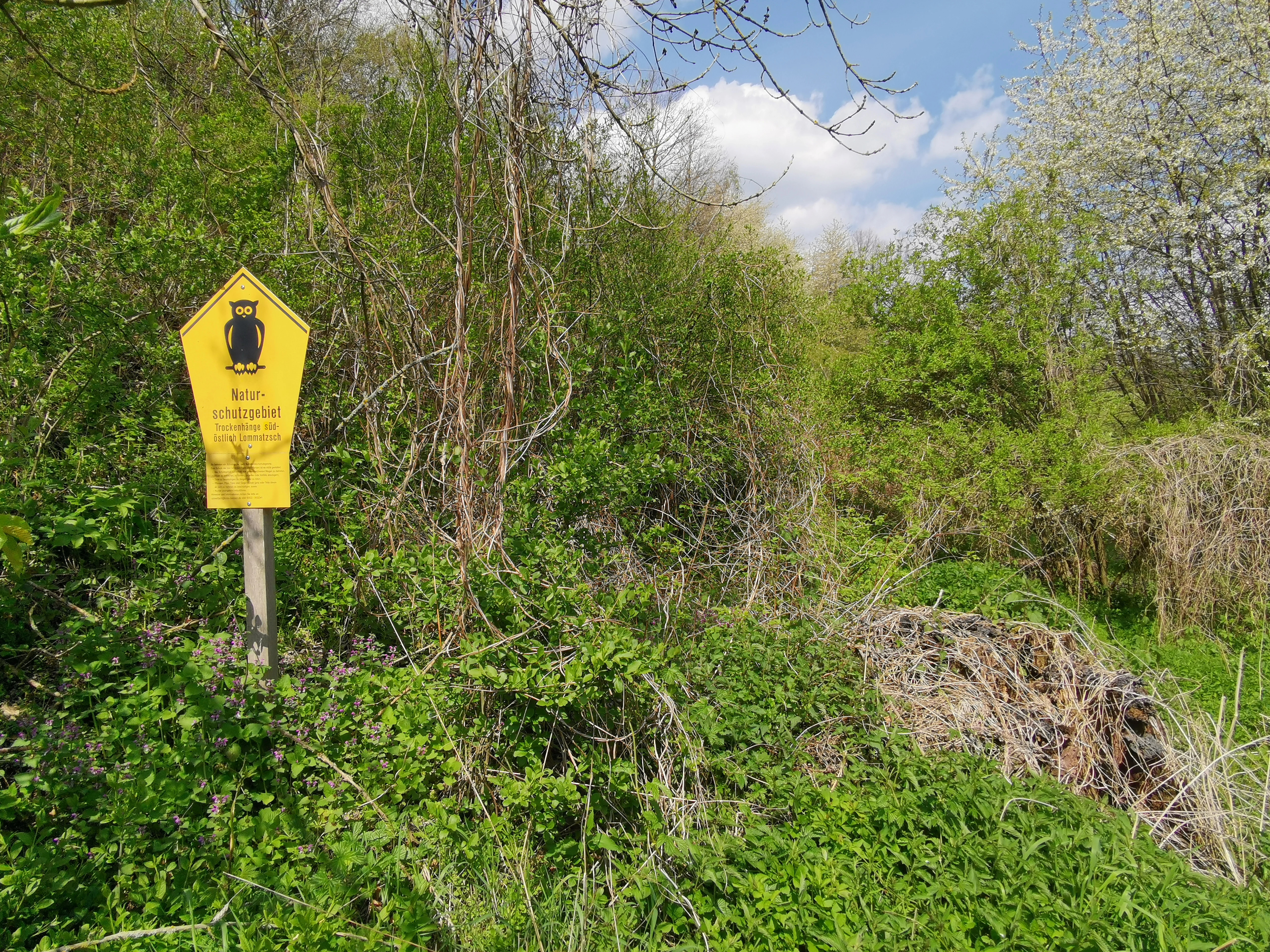 Una señal pentagonal amarilla con el símbolo de un búho negro y la inscripción Naturschutzgebiet Trockenhänge bei Lommatzsch sobre un poste de madera, rodeada de arbustos y árboles verdes bajo un cielo azul con nubes.