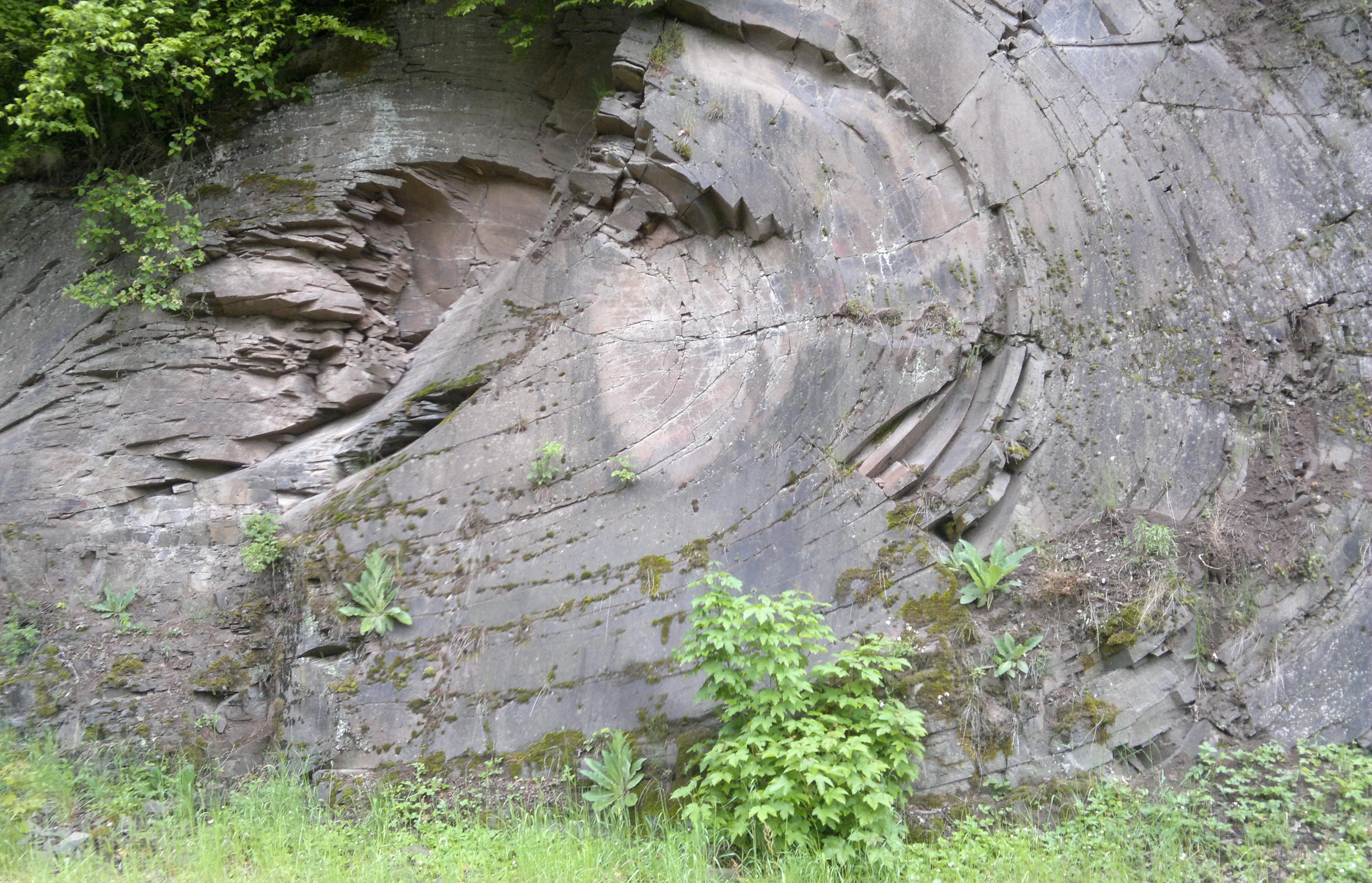 A close up view of a vertical grey rock face showing distinct circular and layered geological formations from a cooled lava flow, with small green plants growing in crevices.