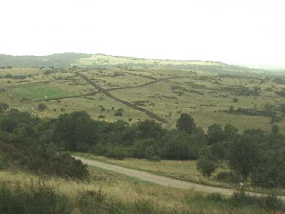 A wide landscape view of rolling green hills, scattered trees, and dirt tracks intersecting in an open field.