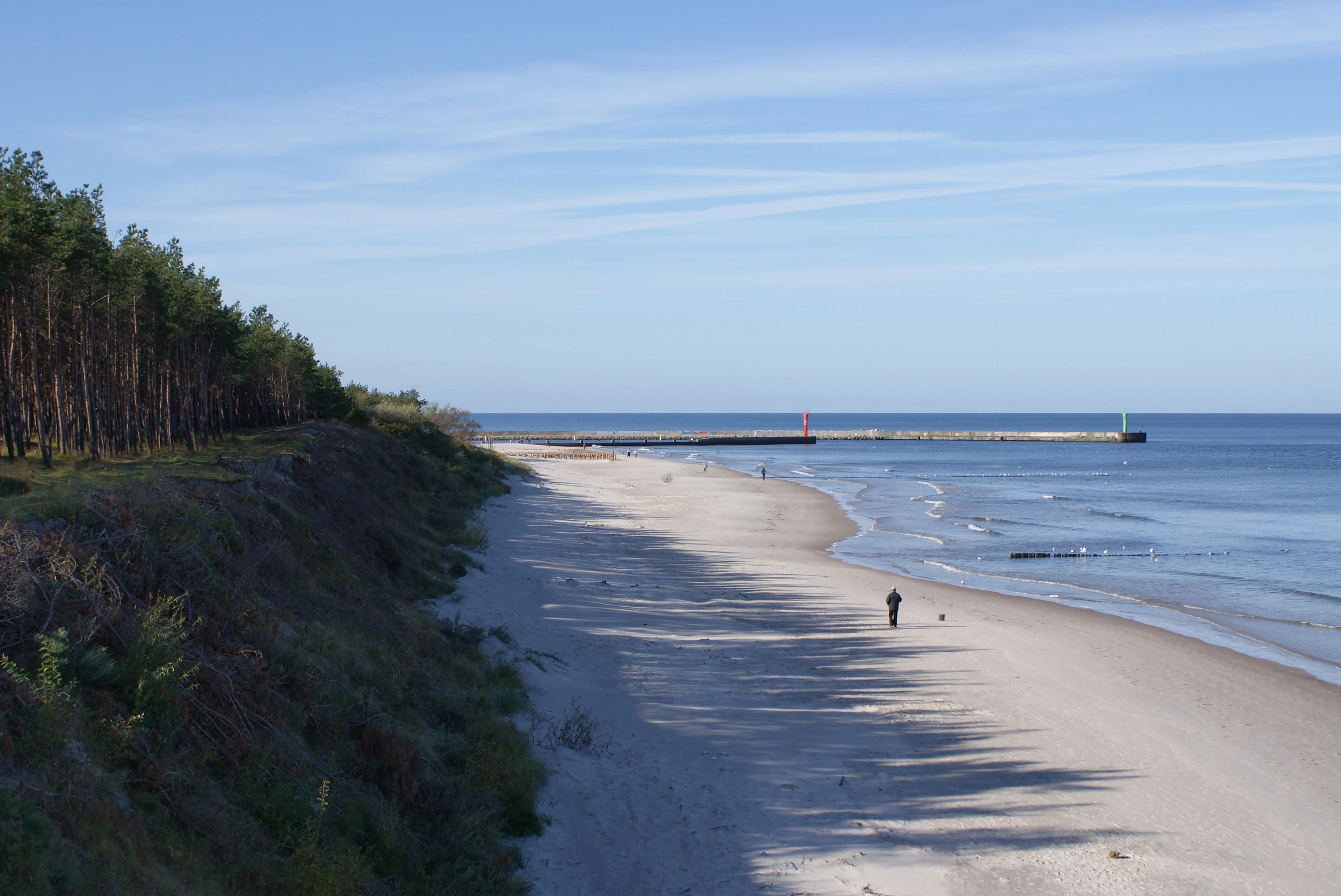 A wide sandy beach meeting the Baltic Sea, flanked by a steep, pine-covered coastal dune ridge on the left under a blue sky.