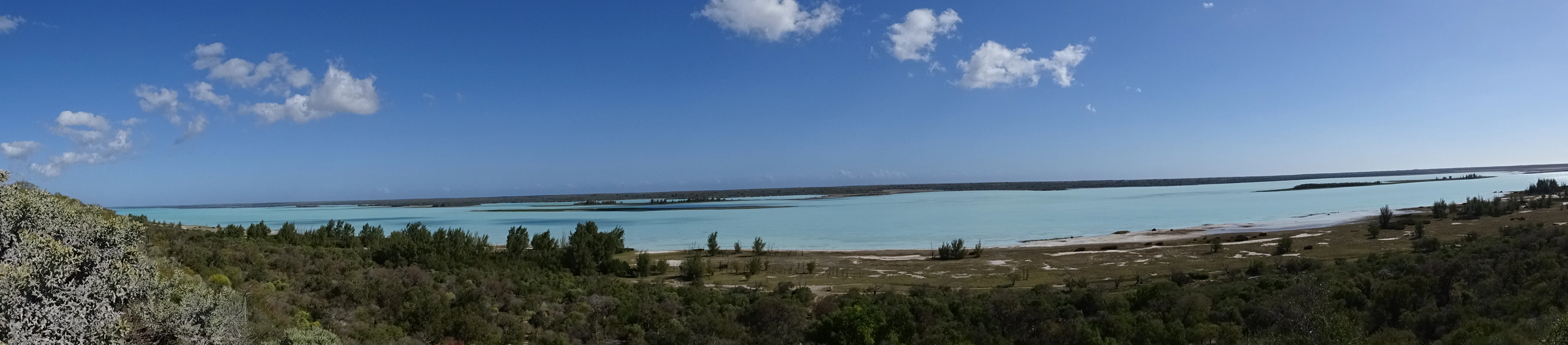 A panoramic view of a wide, turquoise-colored lake under a clear blue sky with sparse clouds, framed by shrubby vegetation in the foreground.