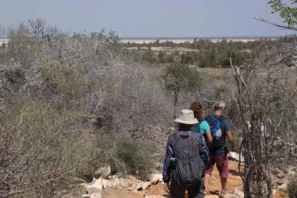Two hikers walking along a dry, rocky trail through sparse, thorny vegetation with a distant view of a salt lake.