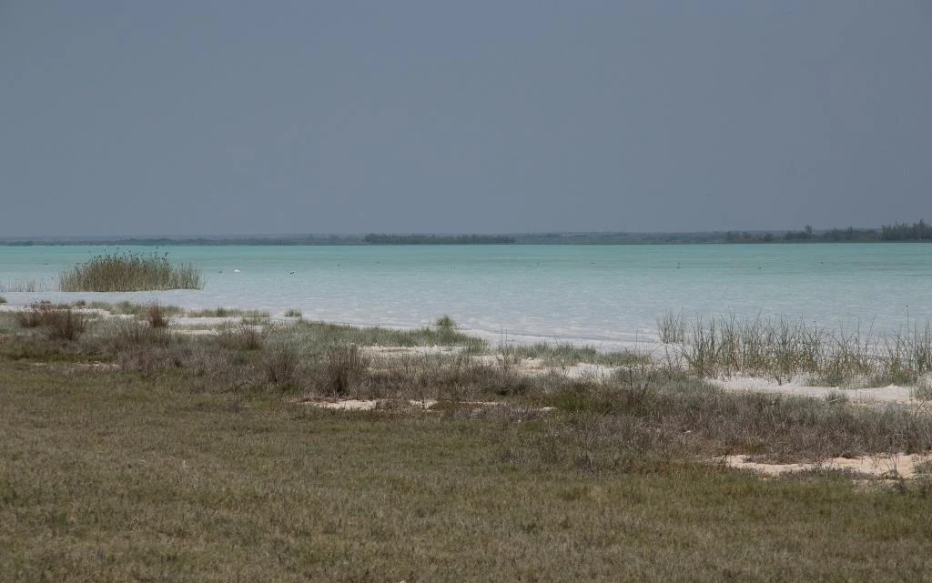 A wide, eye-level shot of a calm, turquoise lake shore with sparse, tufted grasses growing from sandy, light-colored mudflats under a hazy sky.