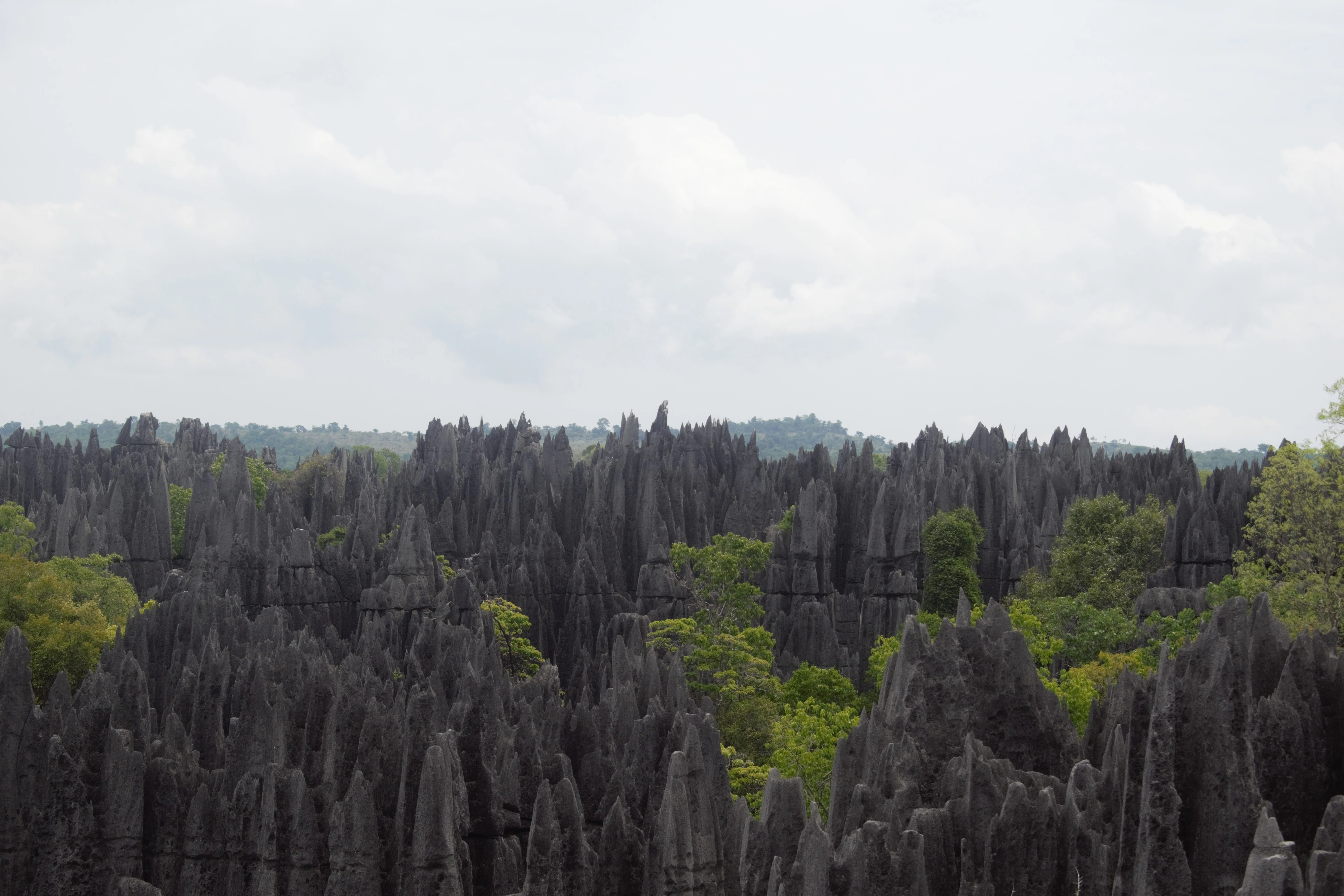 A vast expanse of sharp, grey limestone needles and peaks rising from a lush green forest under a cloudy sky.