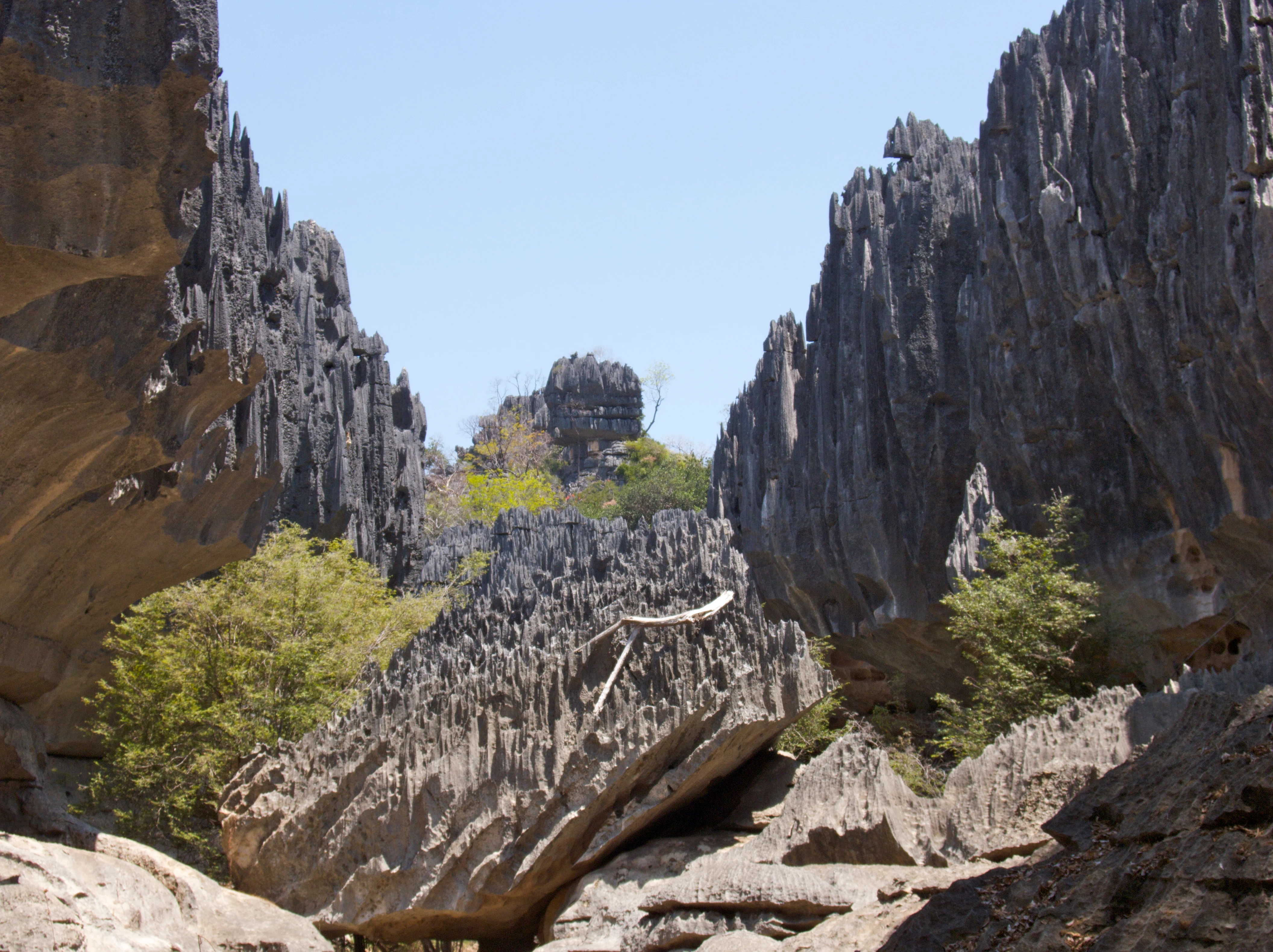 Rugged, needle-like limestone rock formations rising steeply from the ground in a canyon-like setting under a clear sky.