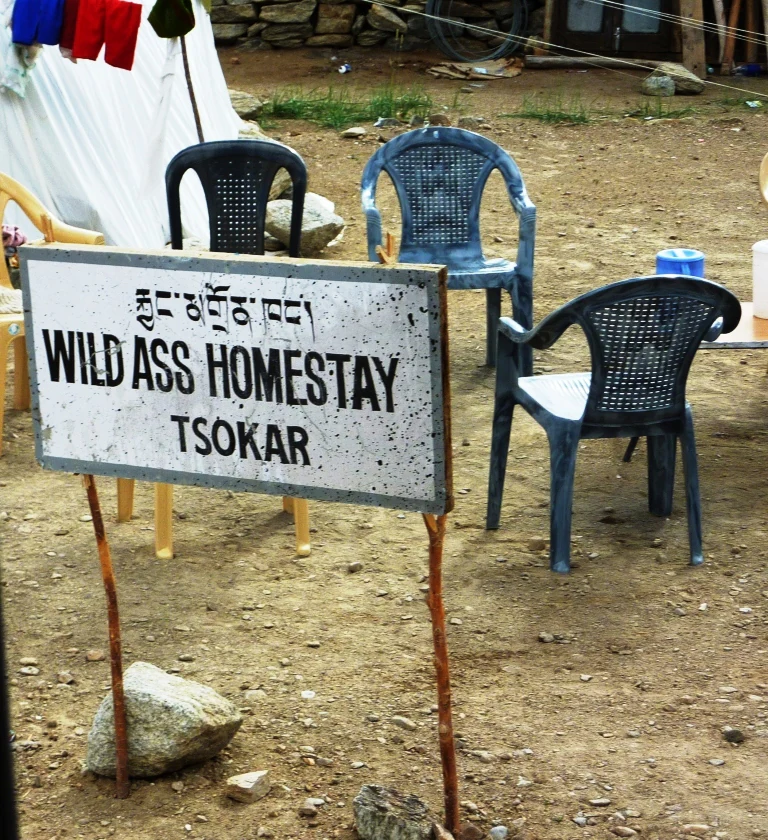 A white metal sign on two thin wooden posts reads Wild Ass Homestay Tsokar in black lettering, with Tibetan script above the English text; several plastic chairs are arranged in the dirt behind it.
