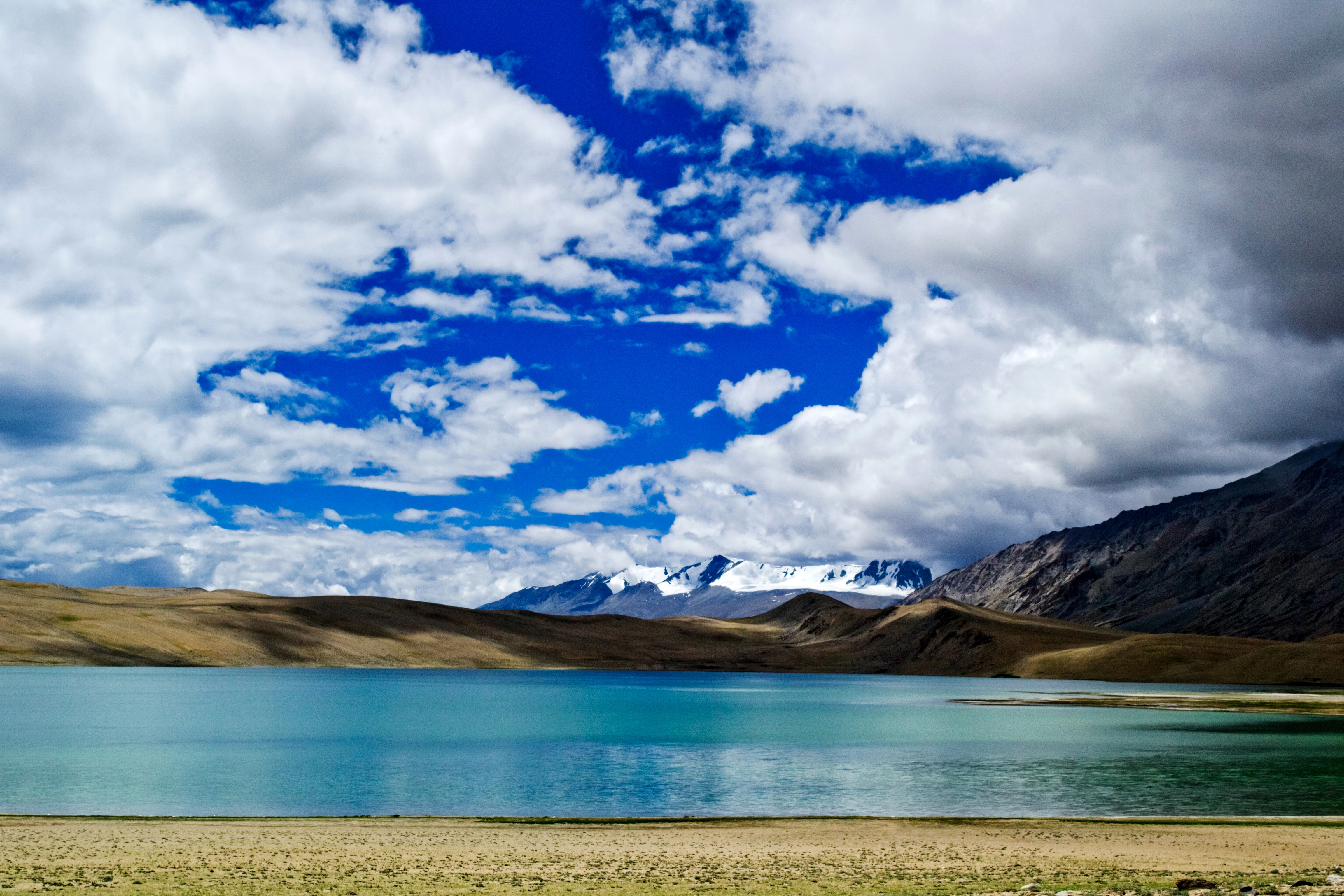 Una amplia vista del lago Tso Moriri con agua azul, rodeado de colinas áridas y marrones y montañas nevadas distantes bajo un cielo azul brillante con grandes nubes blancas.