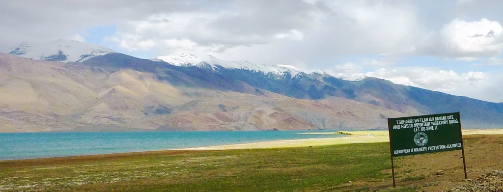 Un cartel verde de información del parque se alza en primer plano sobre una llanura herbosa junto a un lago de un azul turquesa brillante, con grandes montañas nevadas bajo un cielo nublado al fondo.