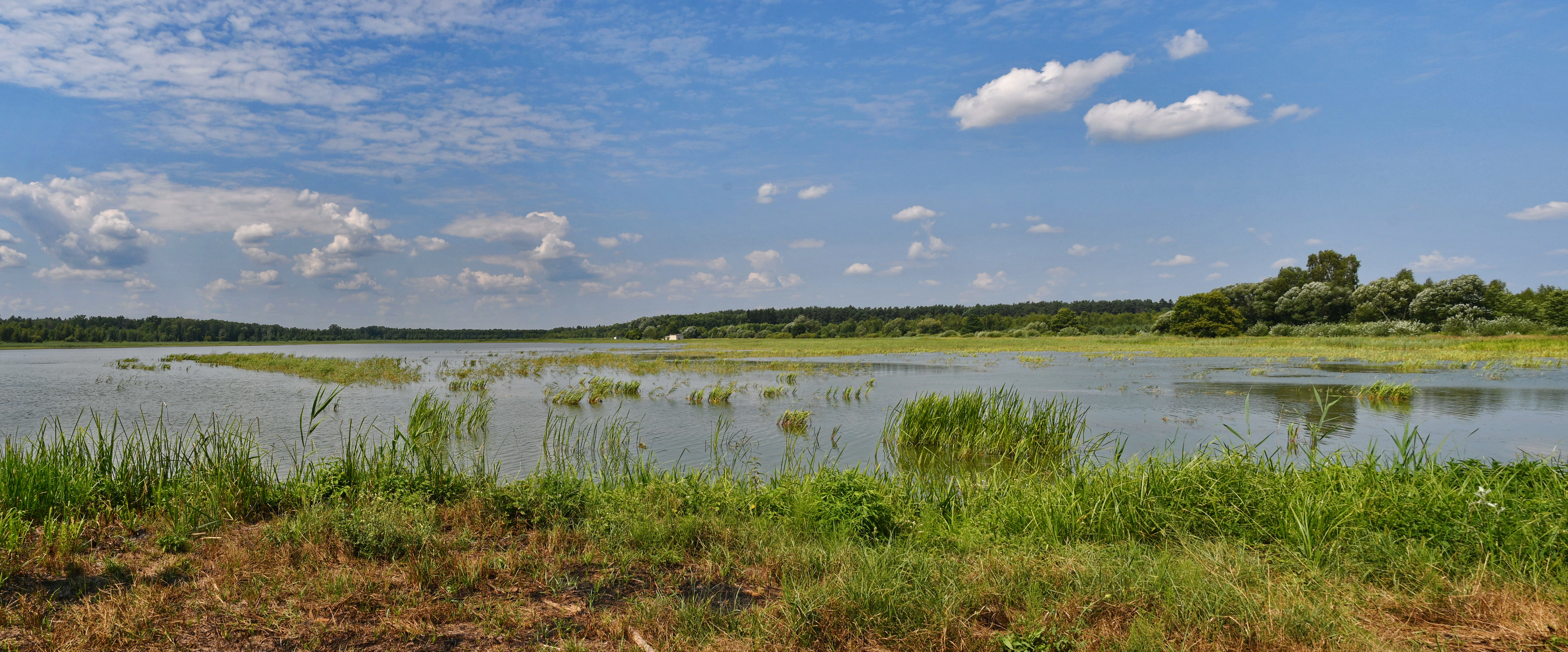 Panoramic view of lakes with lush green vegetation along the shore and distant tree line under a partly cloudy sky