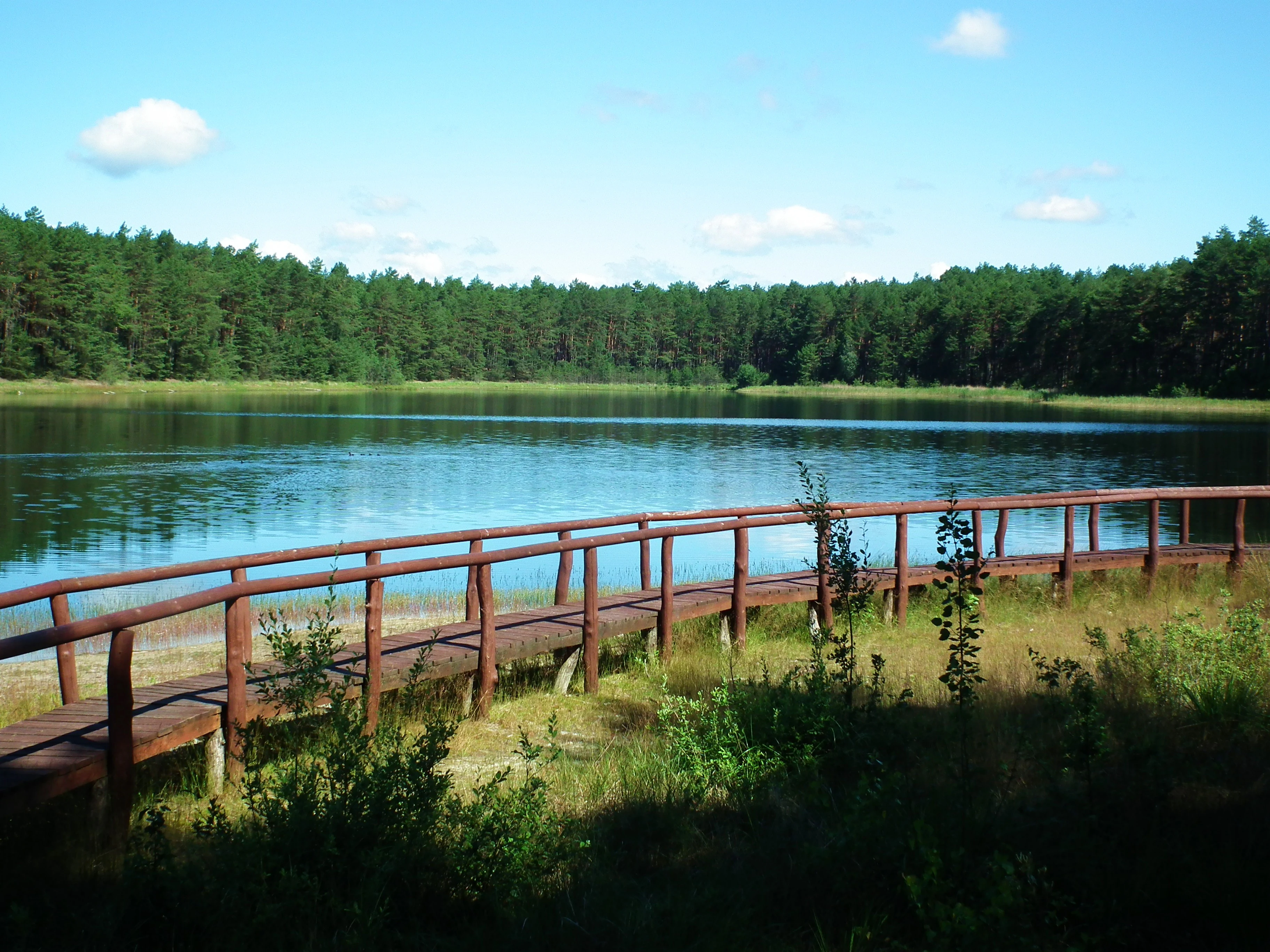 Wooden boardwalk extending over a calm lake surrounded by forest under a clear blue sky.