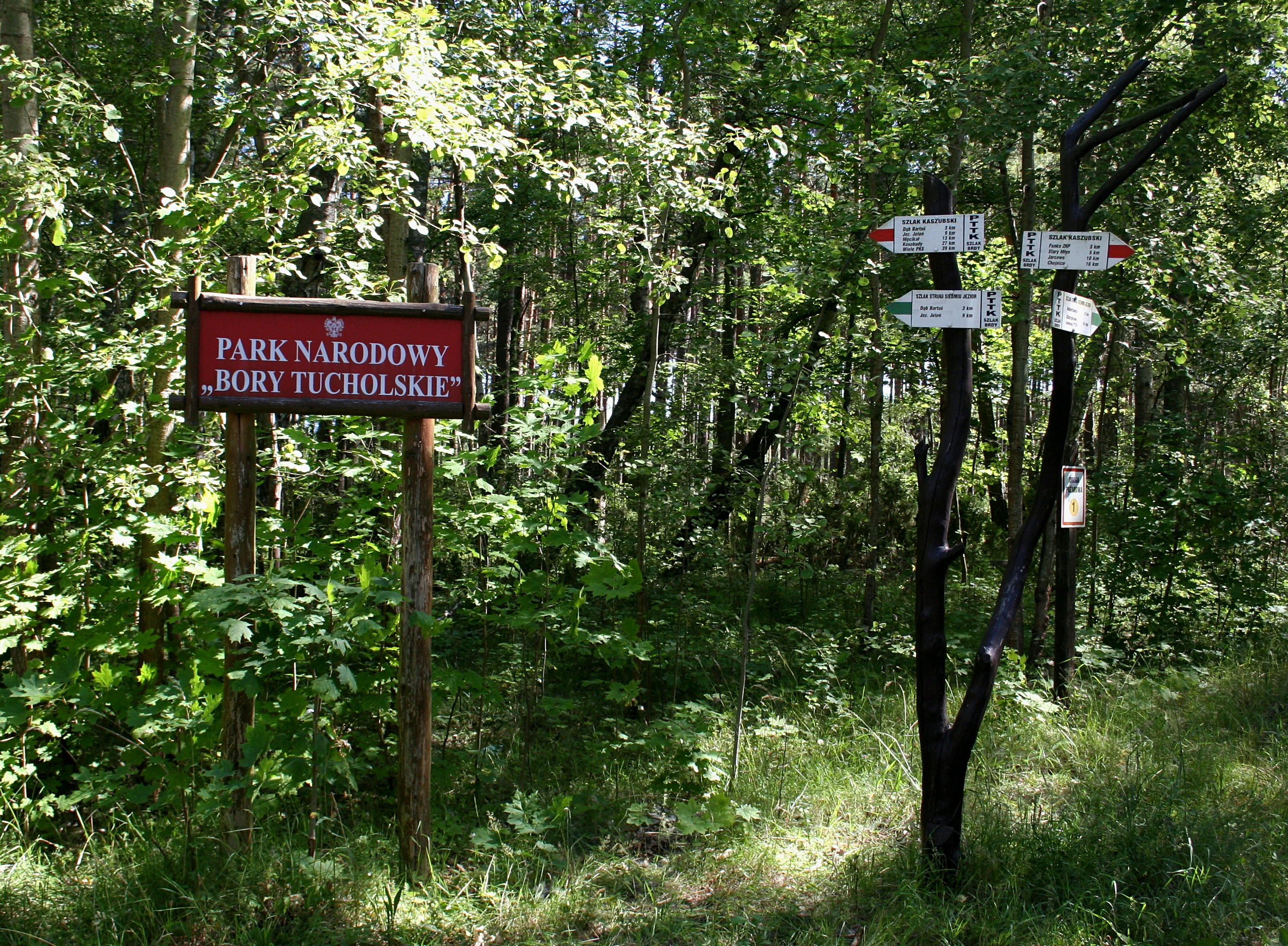 Red sign reading 'PARK NARODOWY BORY TUCHOLSKIE' surrounded by dense forest with directional signs attached to a tree