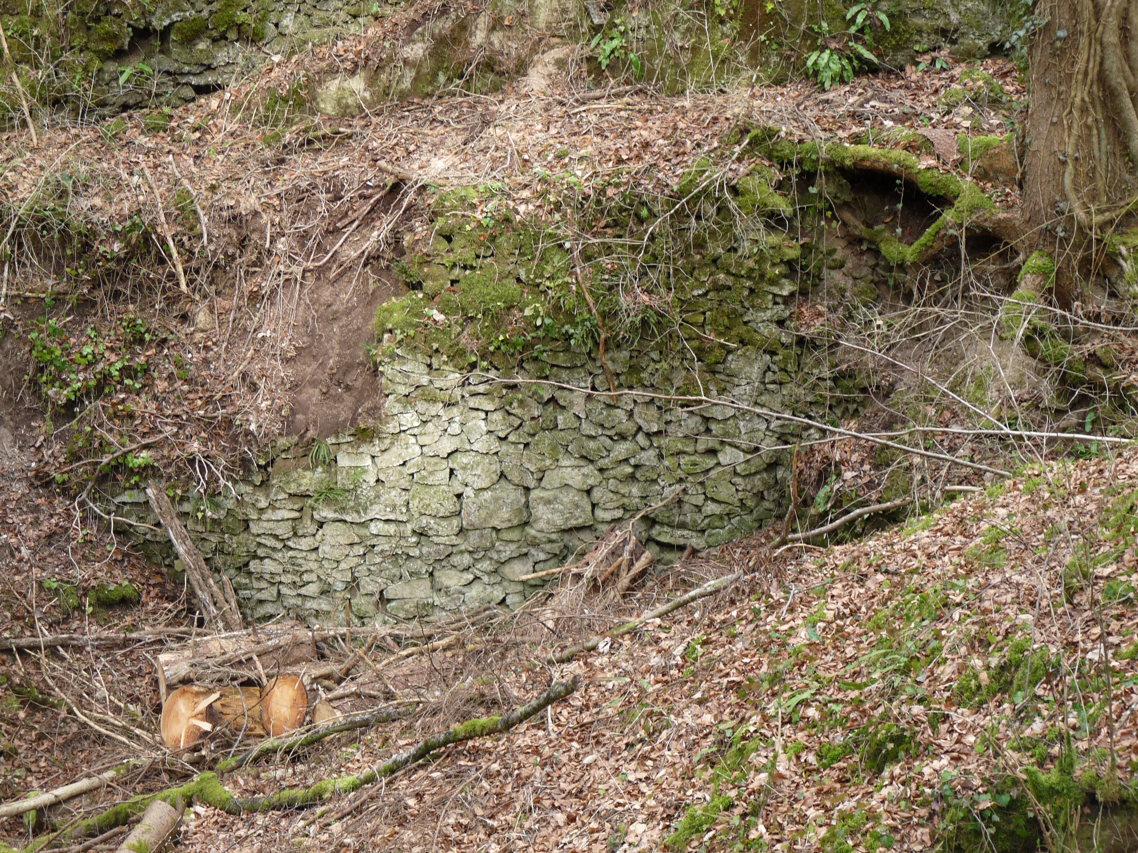 A weathered stone retaining wall built from rough, porous tufa blocks, partially covered in moss and tucked into a wooded hillside.
