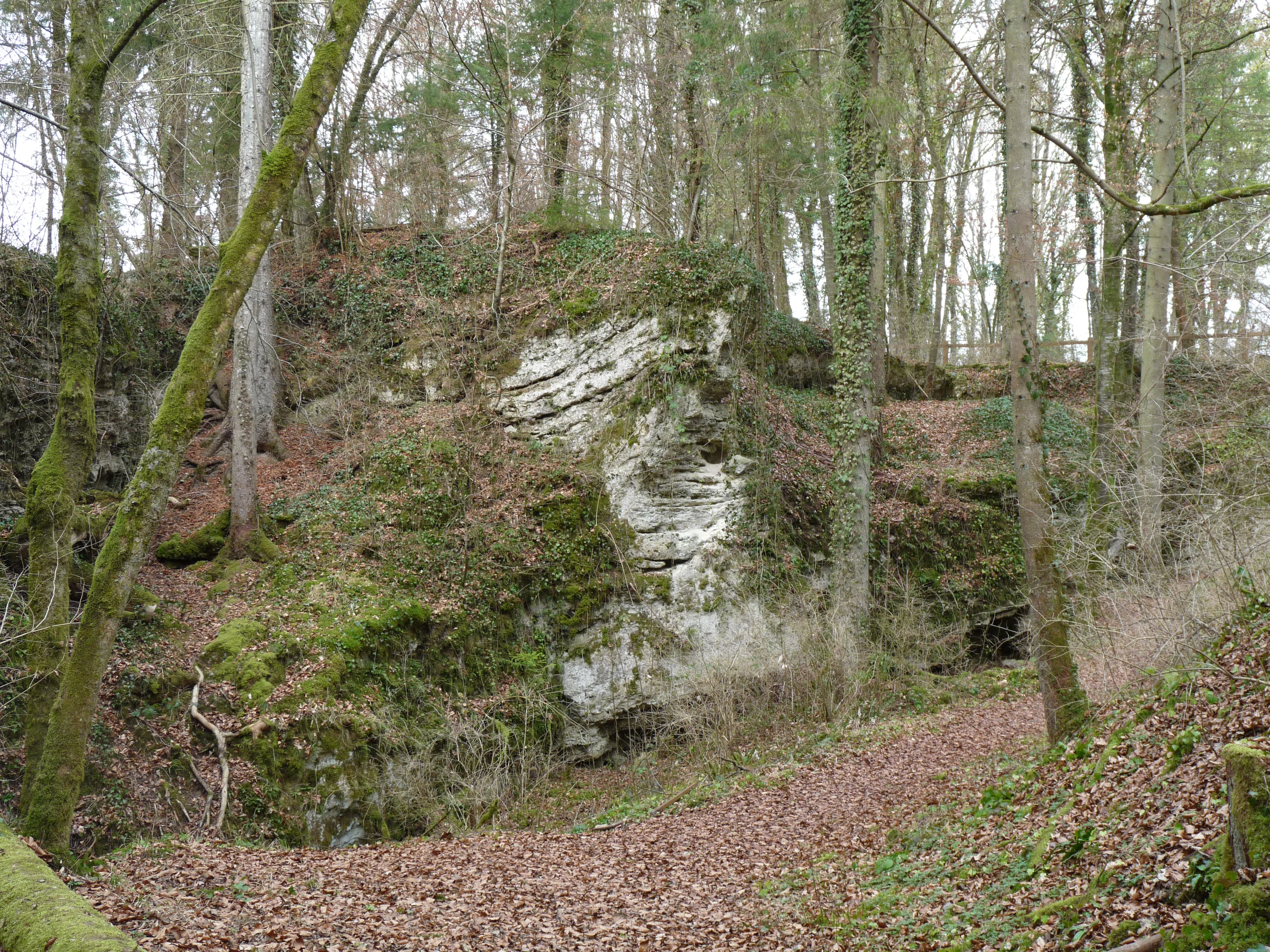 A pale, layered travertine rock face partially covered in moss and surrounded by a temperate forest with a leaf-covered path in the foreground.