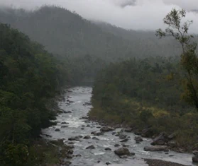 A river with rocks flows through a forested gorge with mountains in the background under overcast skies