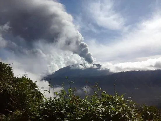 Volcano erupting with smoke plume, green vegetation in foreground, cloudy sky