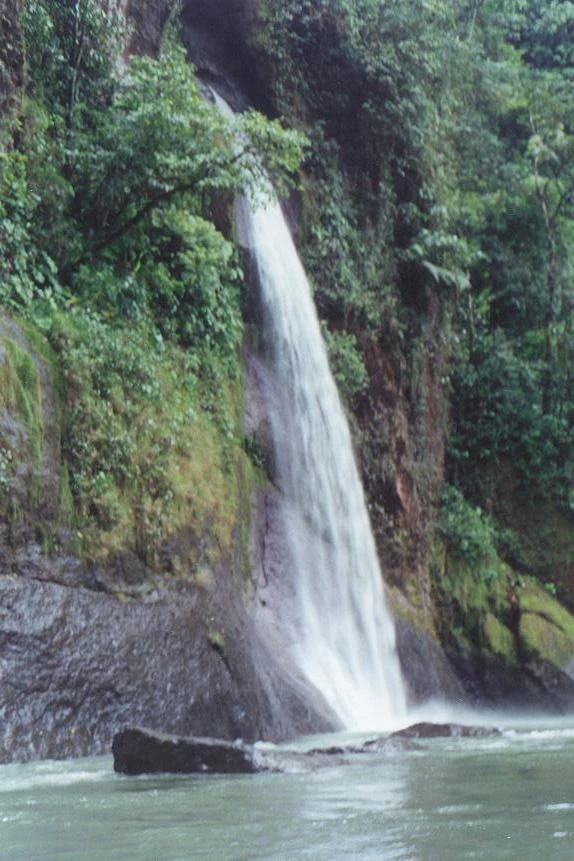 Waterfall flowing into a river with lush green vegetation on rocky cliffs