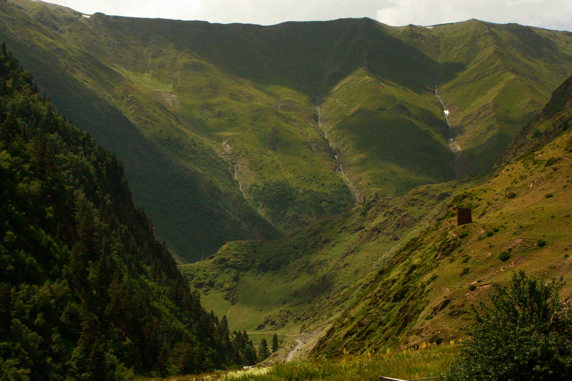 Wide landscape view of green mountain slopes and a valley with forested areas
