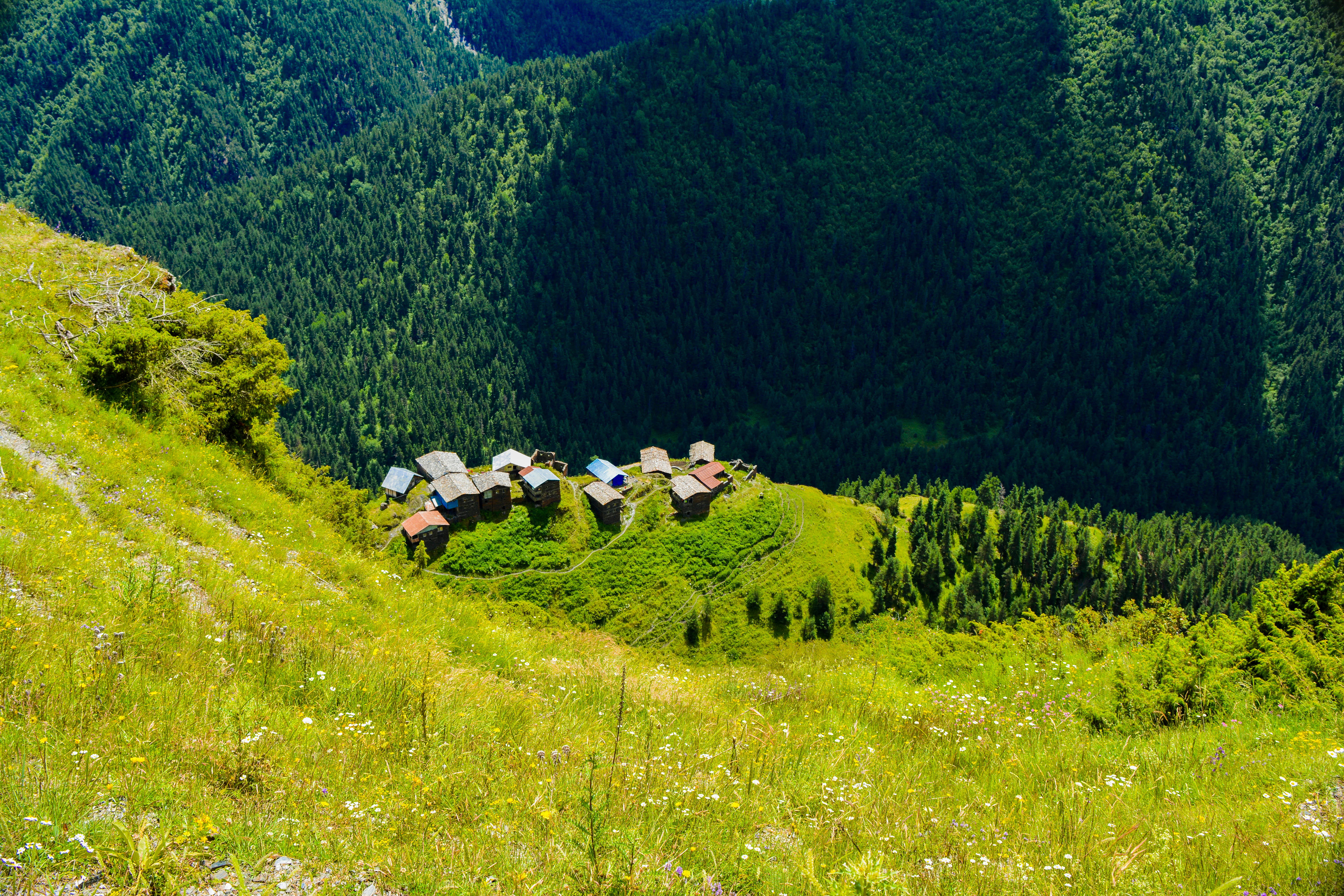 A grassy hillside with traditional wooden houses surrounded by dense forests and rugged mountains under a clear sky