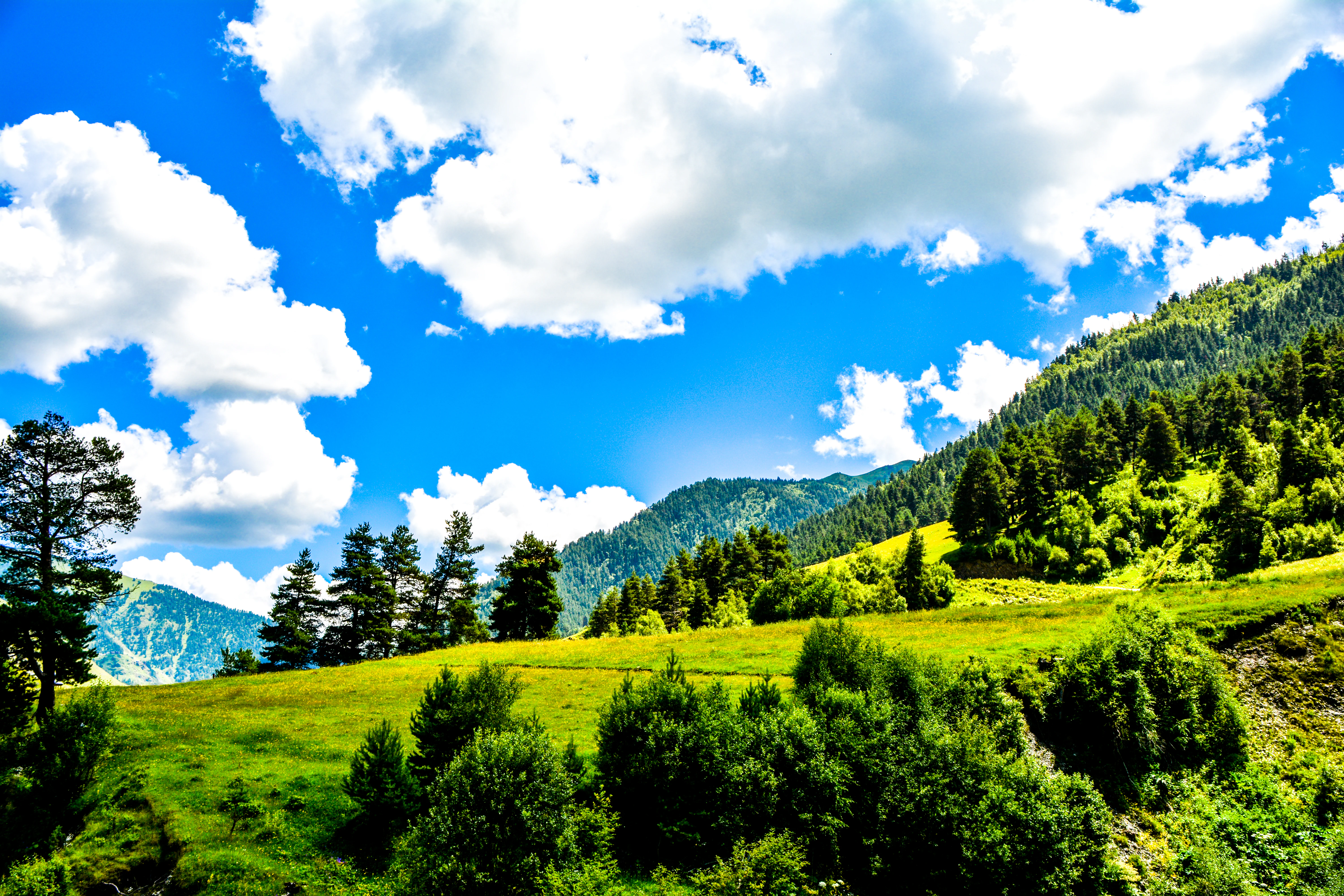 Green meadows, forested hills, and mountains under a blue sky with scattered clouds