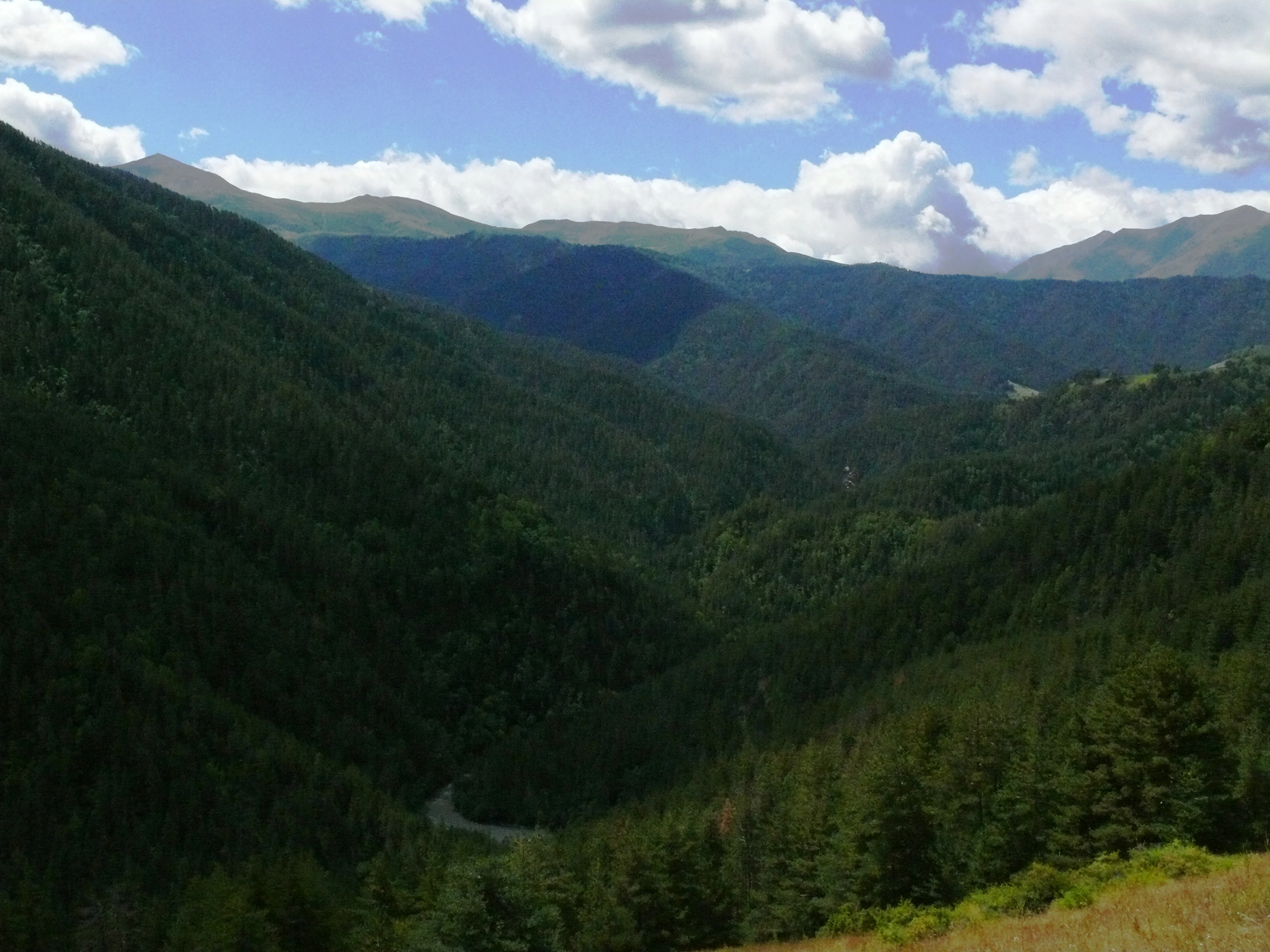 Wide landscape view of forested mountain valley with winding road, blue sky with clouds