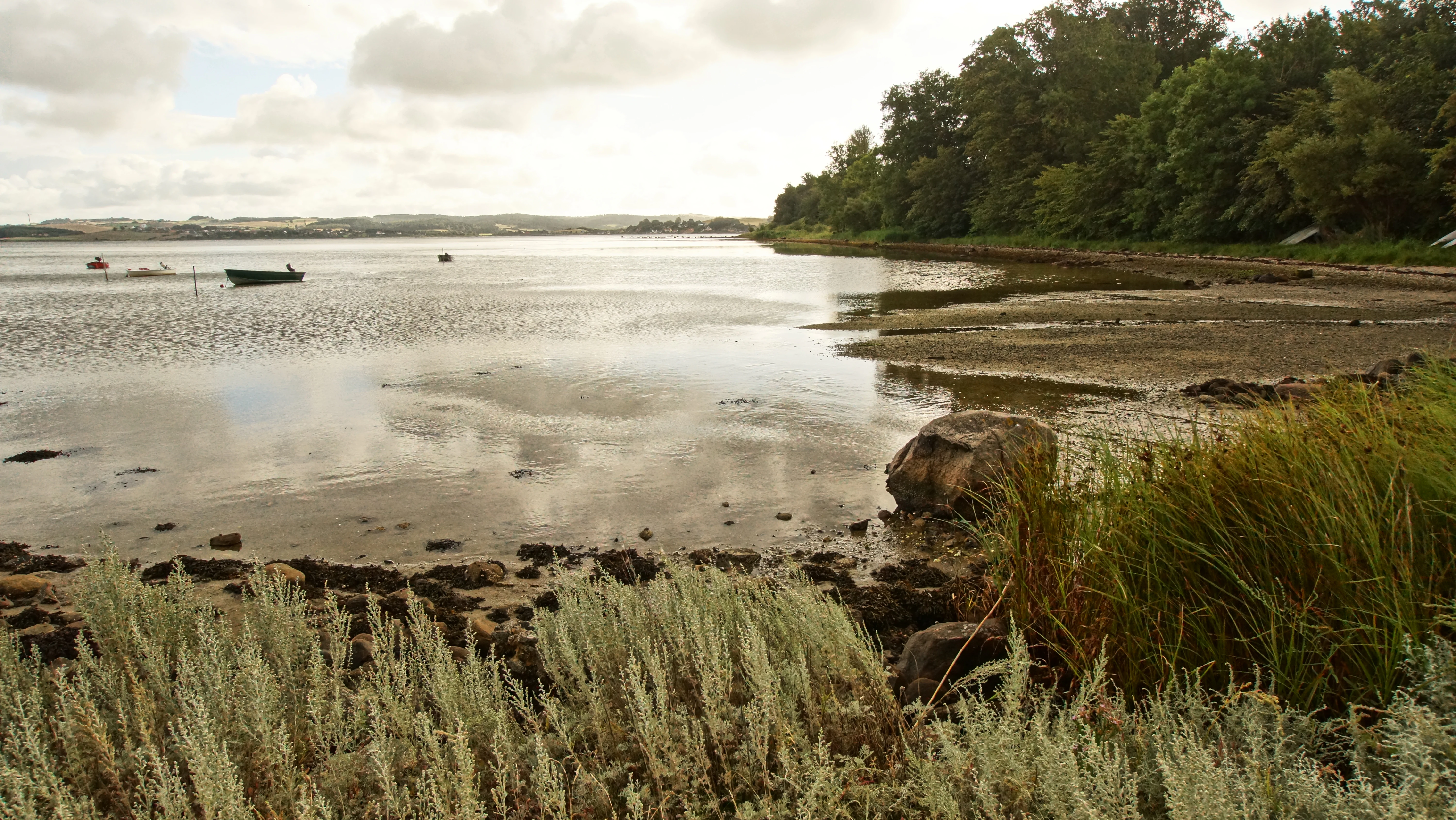 A wide coastal landscape shot showing calm shallow water meeting a marshy shoreline with grasses, rocks, and a small boat in the distance under a cloudy sky.