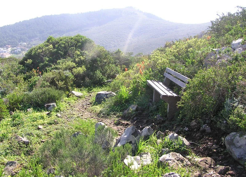 Tygerberg Nature Reserve landscape