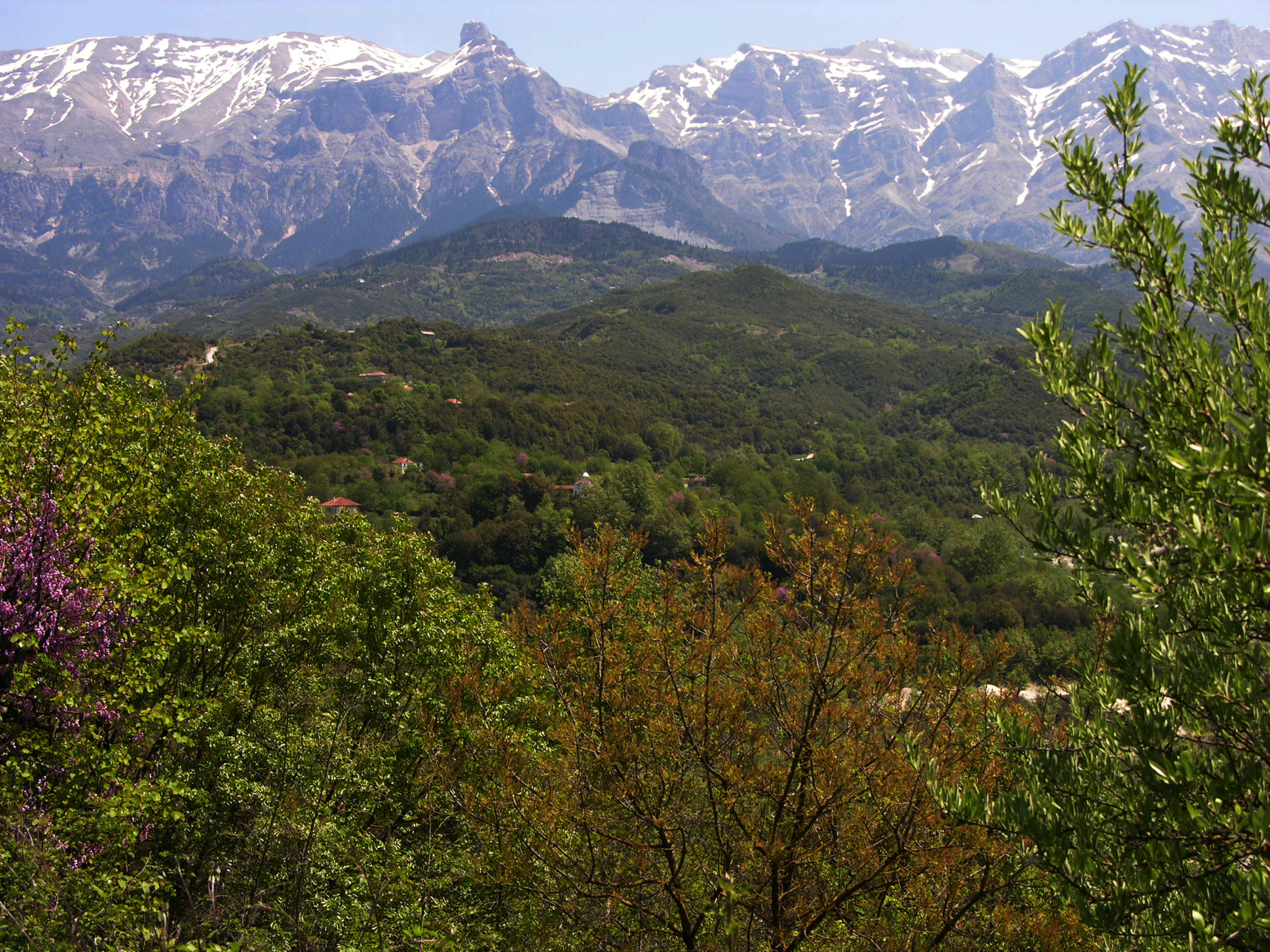 A panoramic view of snow-capped mountains above a dense, green forested valley in the Pindus mountain range.