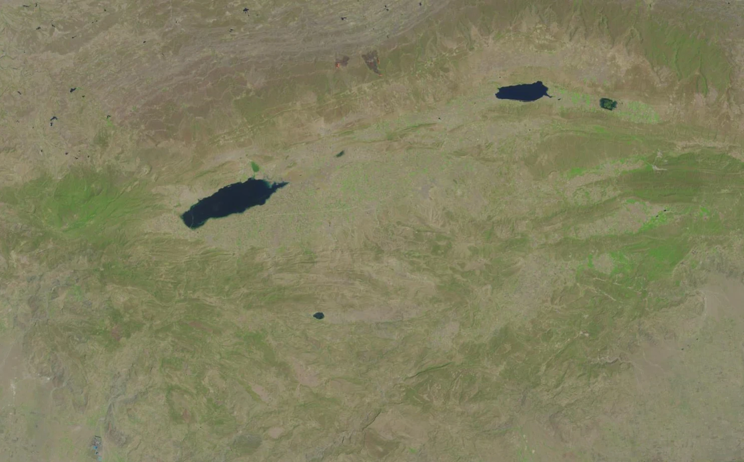 Satellite view of three dark blue lakes surrounded by arid beige and green terrain in the Uchhali Wetlands Complex.