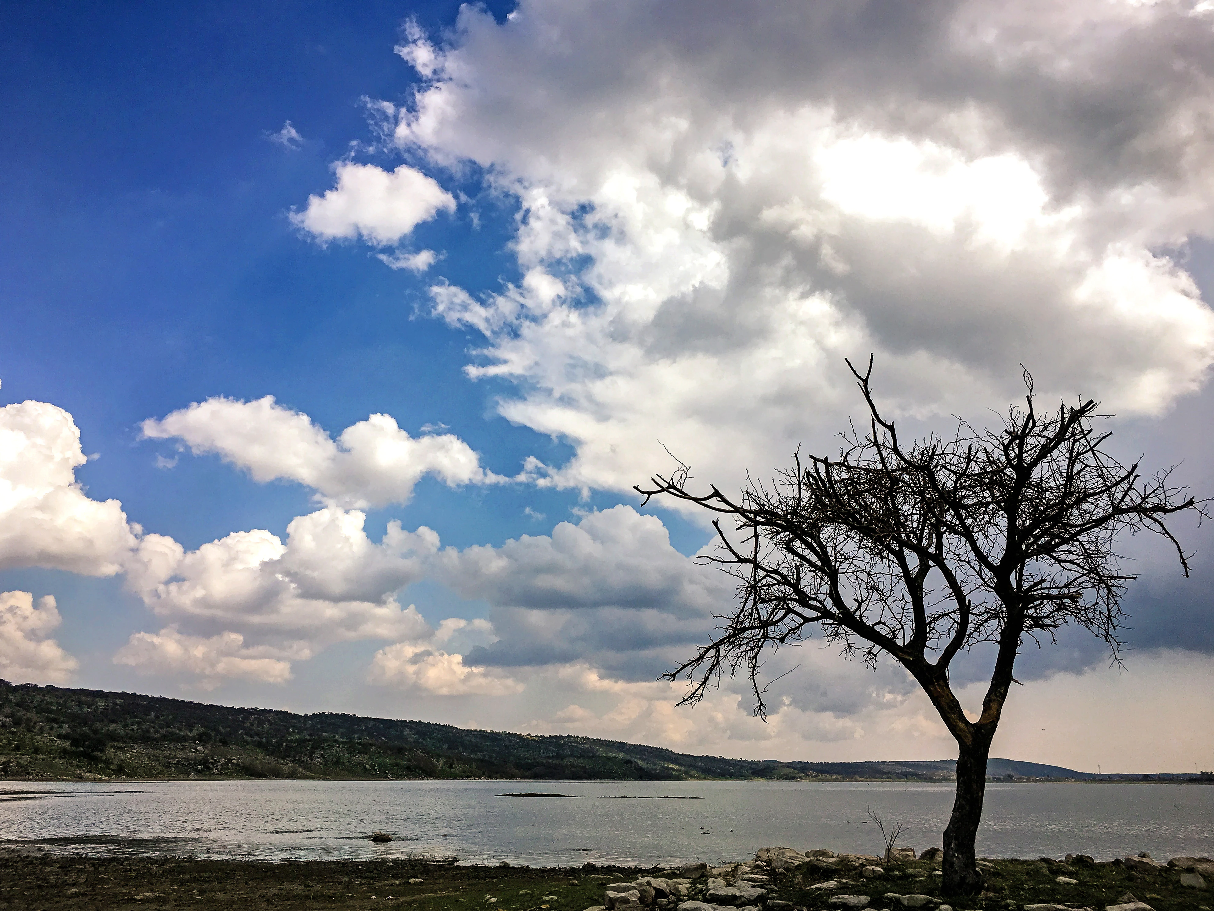 A landscape view of Khabeki Lake featuring a large bare tree on the right foreground, calm water, distant hills, and a blue sky filled with dramatic white and grey clouds.